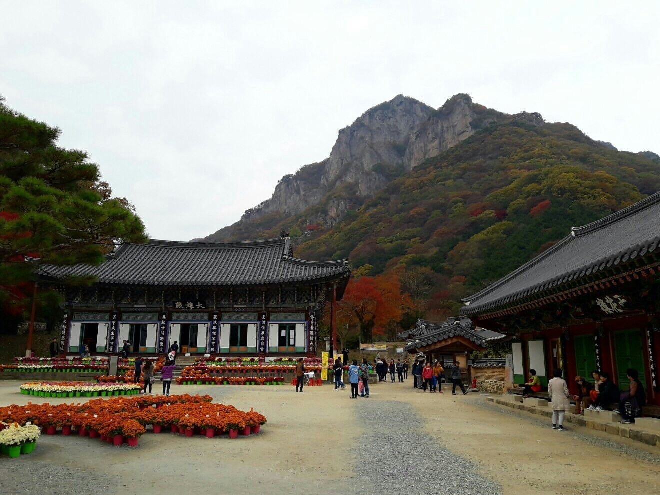 内藏山白羊寺