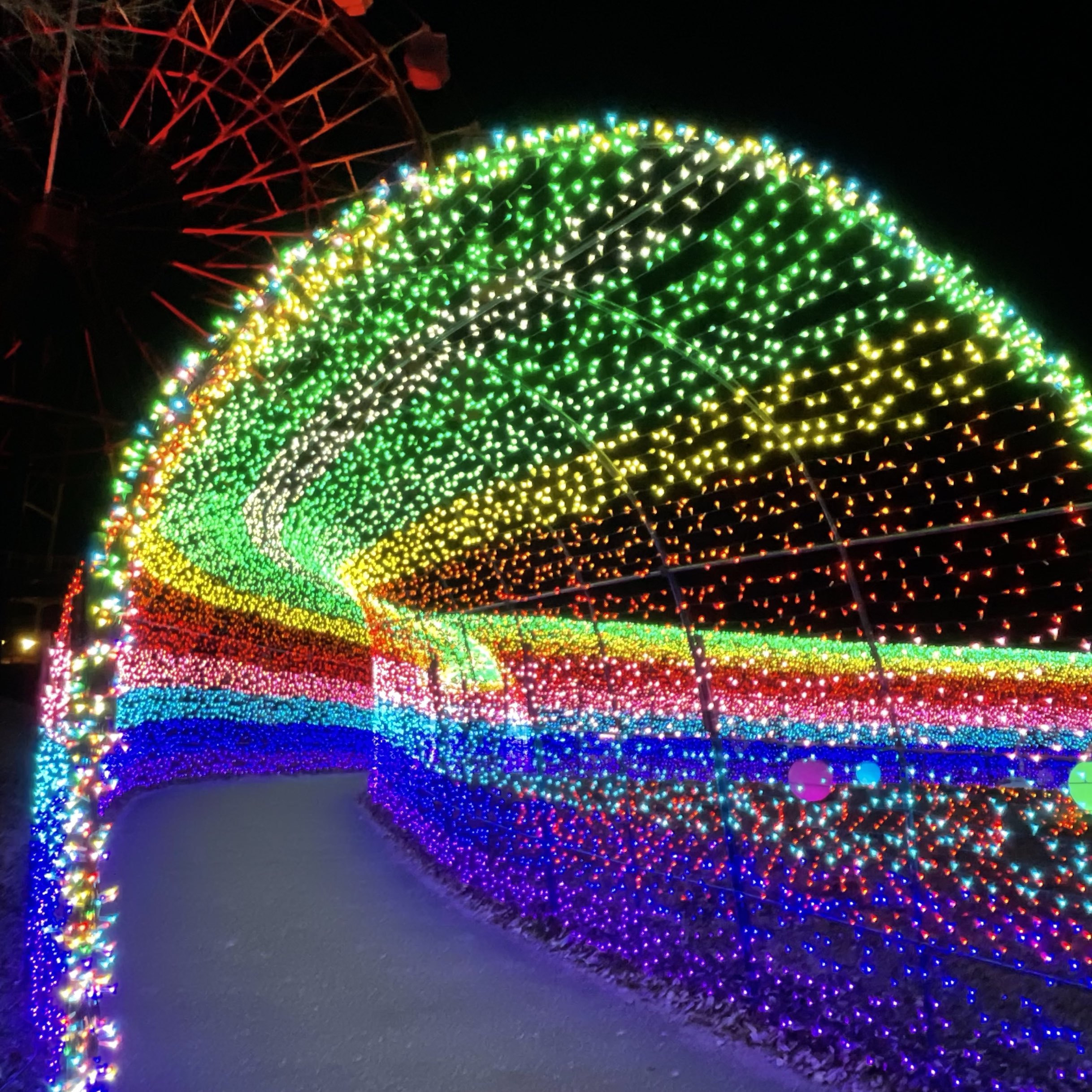 【千叶县】欣赏闪闪发光的彩虹隧道!