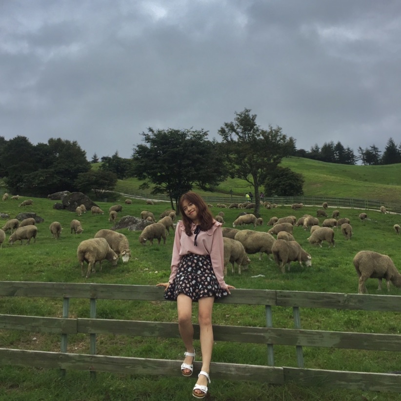 🐑大观岭羊牧场🐑 📍大观岭丸路,平昌郡,江原道483-32  那是与自然在一起的时间。  暂时失去城