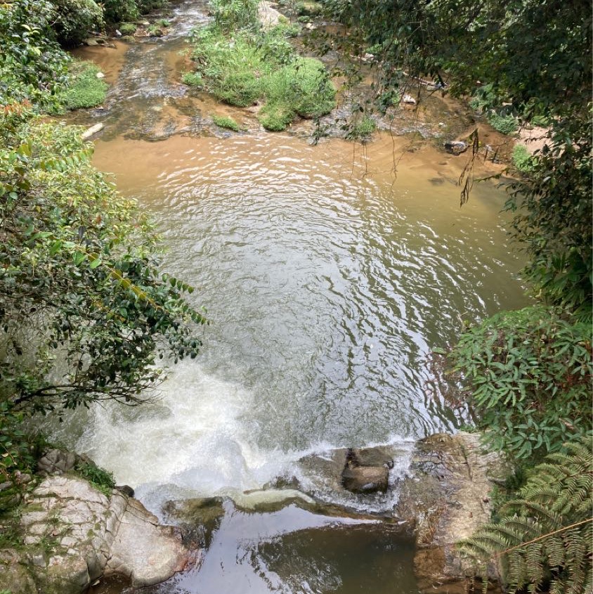从卡梅隆高原中心轻松前往的徒步路线 Taman Eko Rimba Parit Falls H