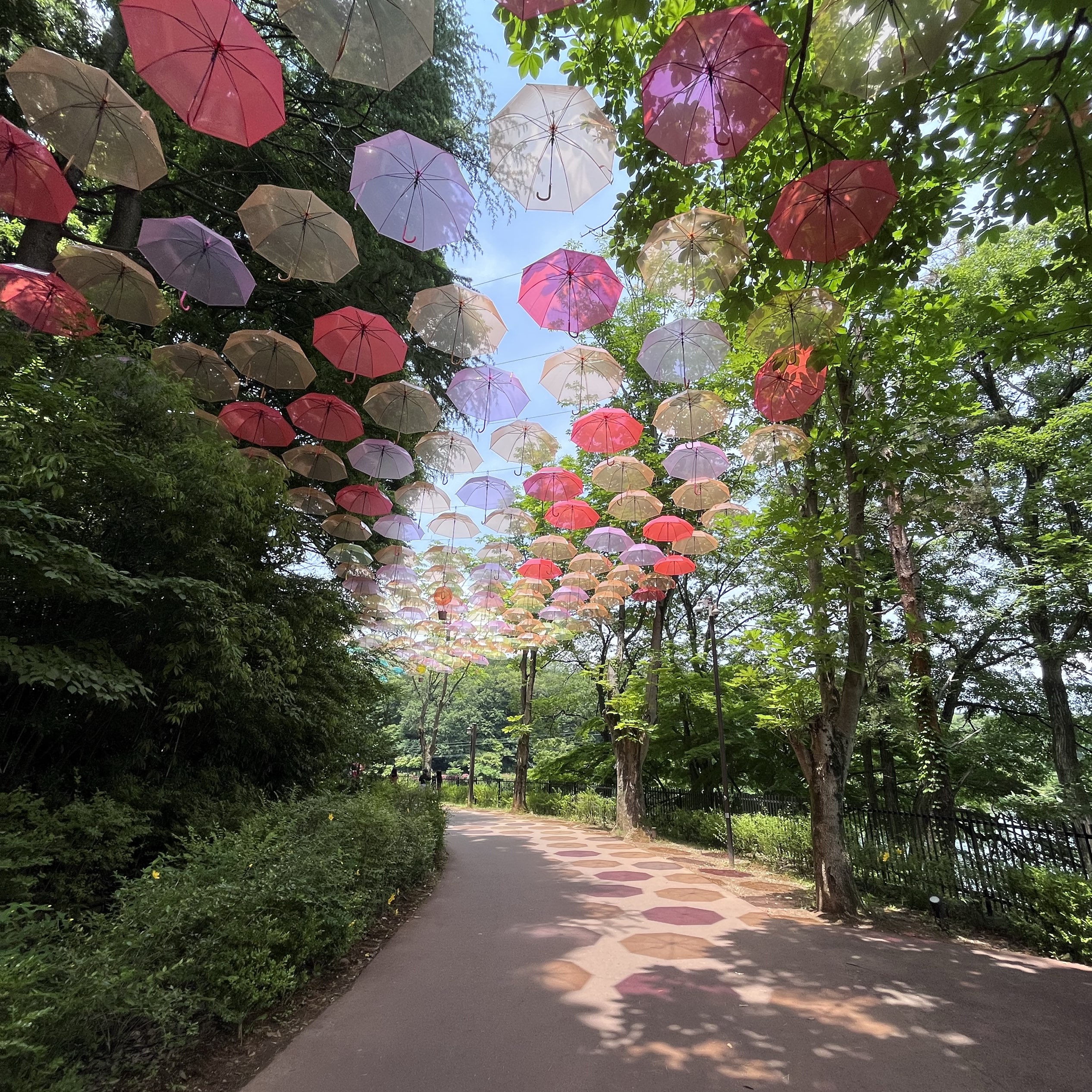 [埼玉]姆明谷公园的雨伞活动☂️