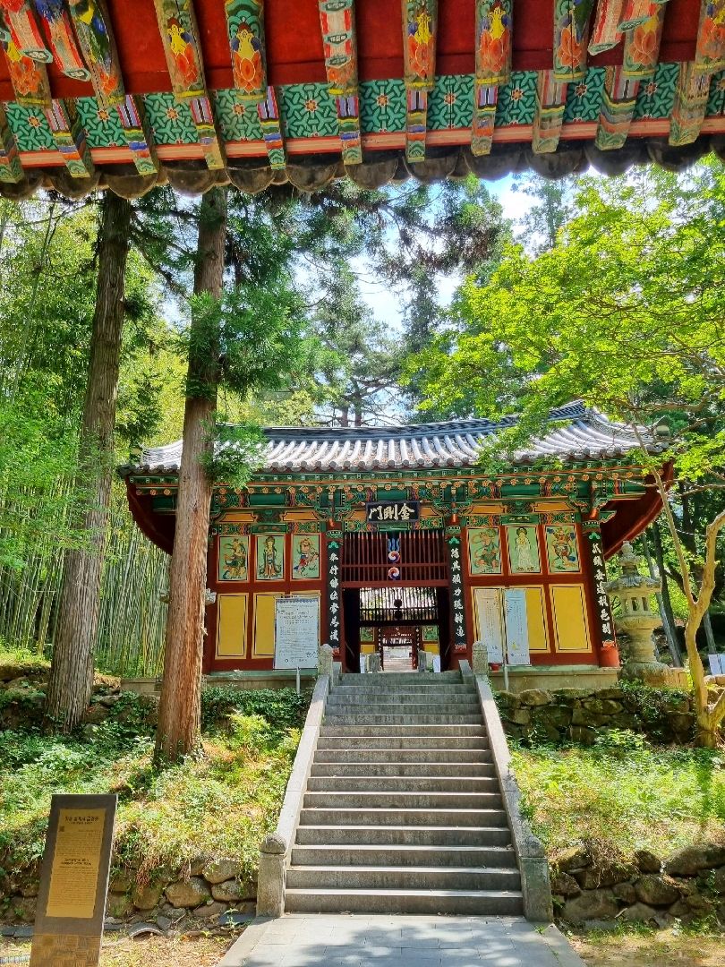一座美丽的寺庙,满是绿色竹子