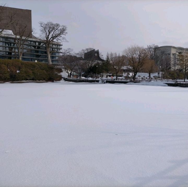 秋田県 千秋公园 雪景