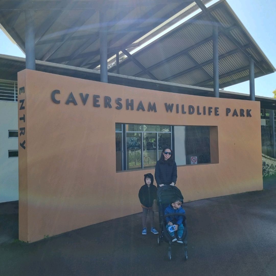 儿童 爱 卡弗森 野生动物 公园