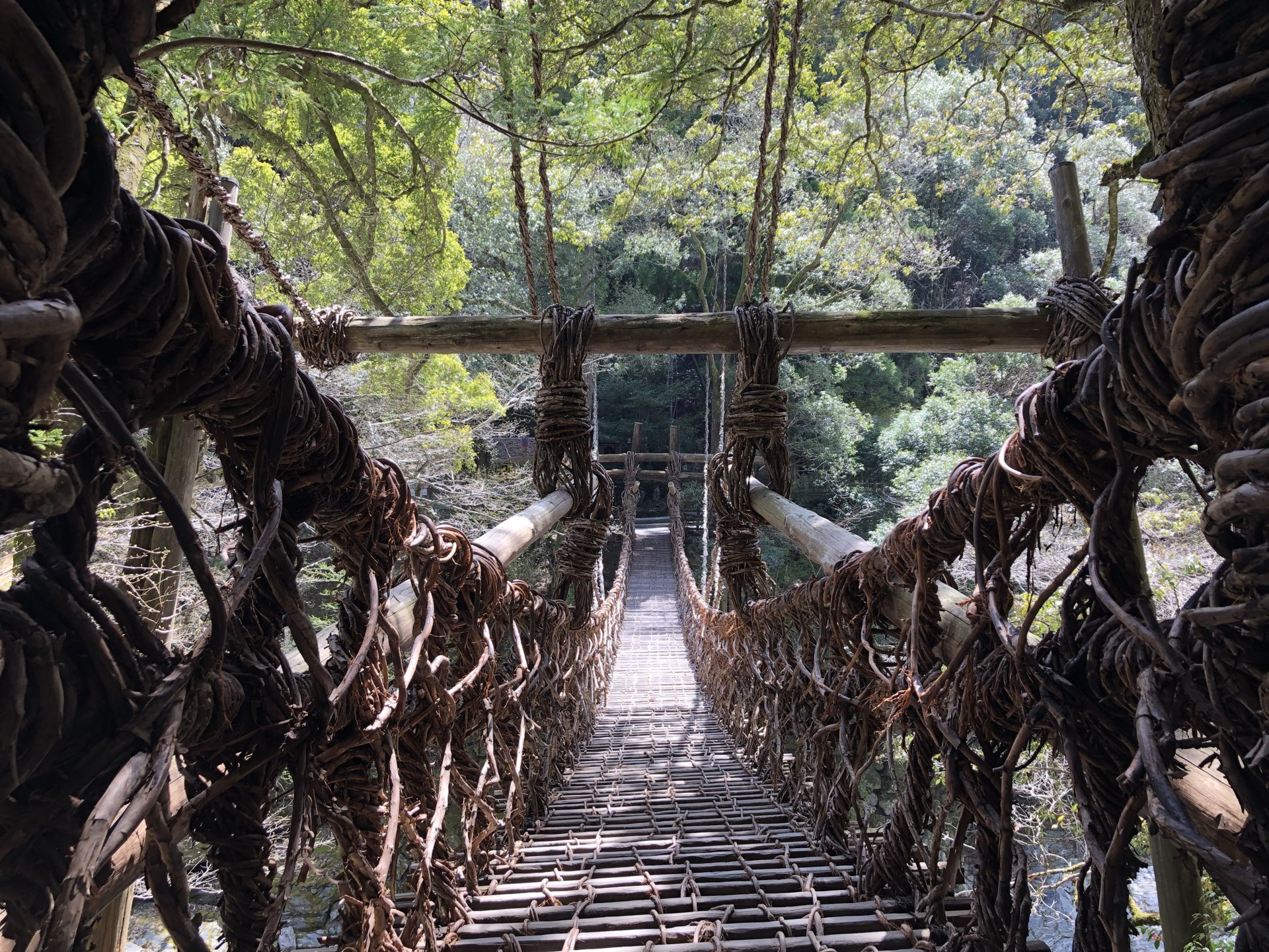 【德岛·神户】在德岛的秘境绝景“かずら桥”