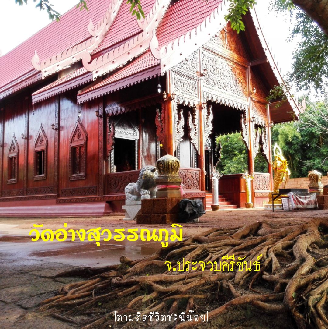 看看Wat Ang Suvarnabhumi 的棕榈木教堂的美景