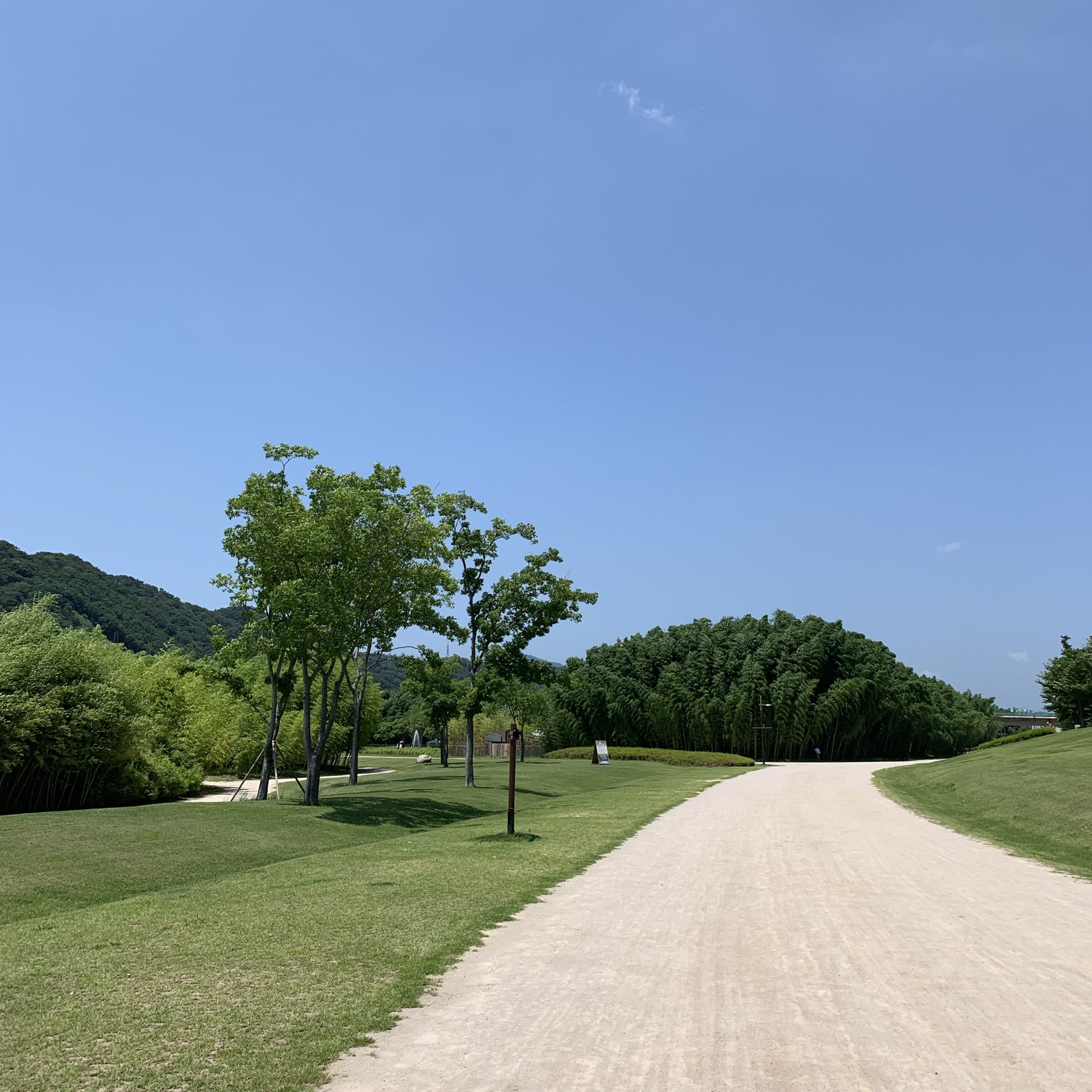 [蔚山中区]一个非常美丽的公园,您可以在这里享受宁静而宁静的时光🌳