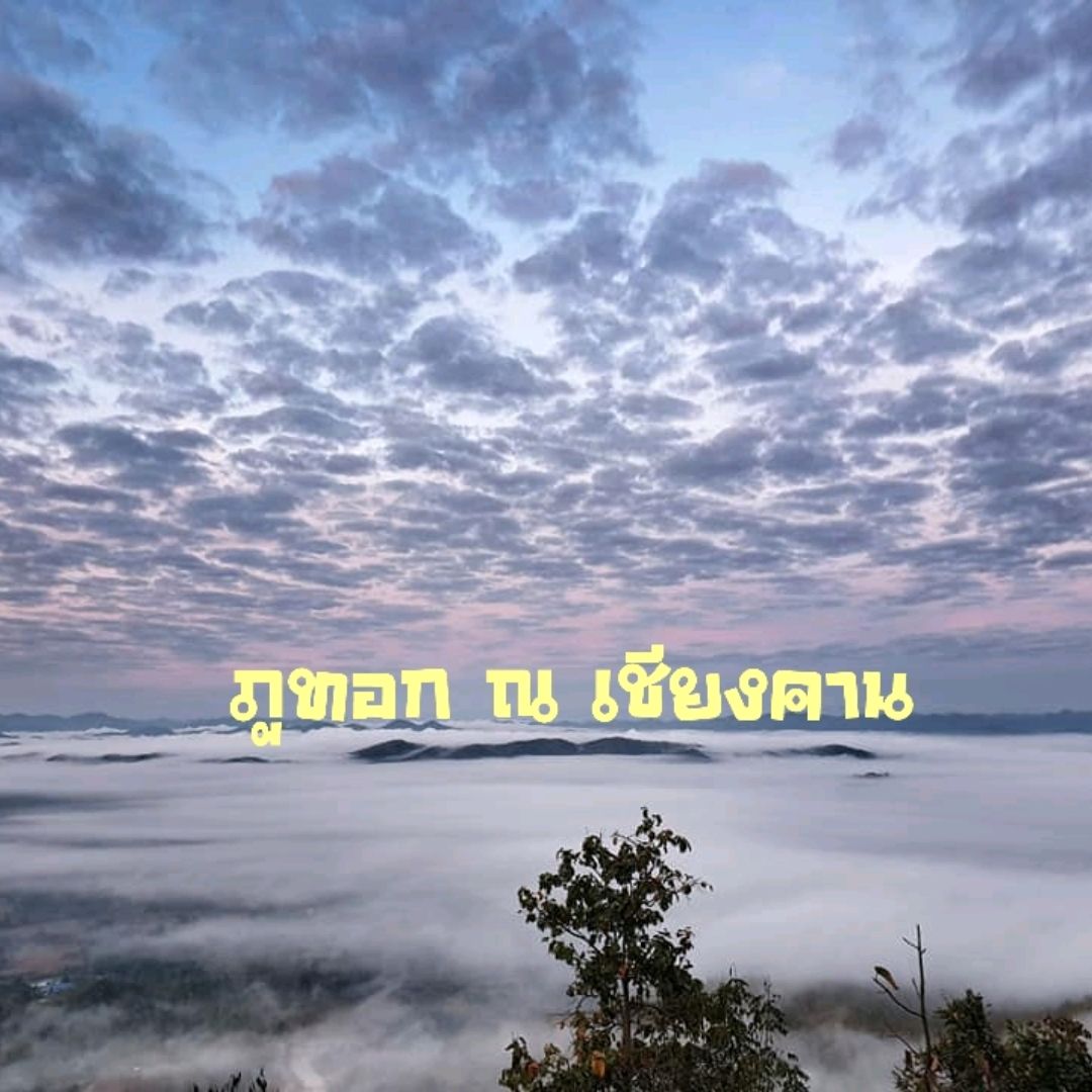 看雾海,Phu Thok,Chiang Khan, Loei🖼