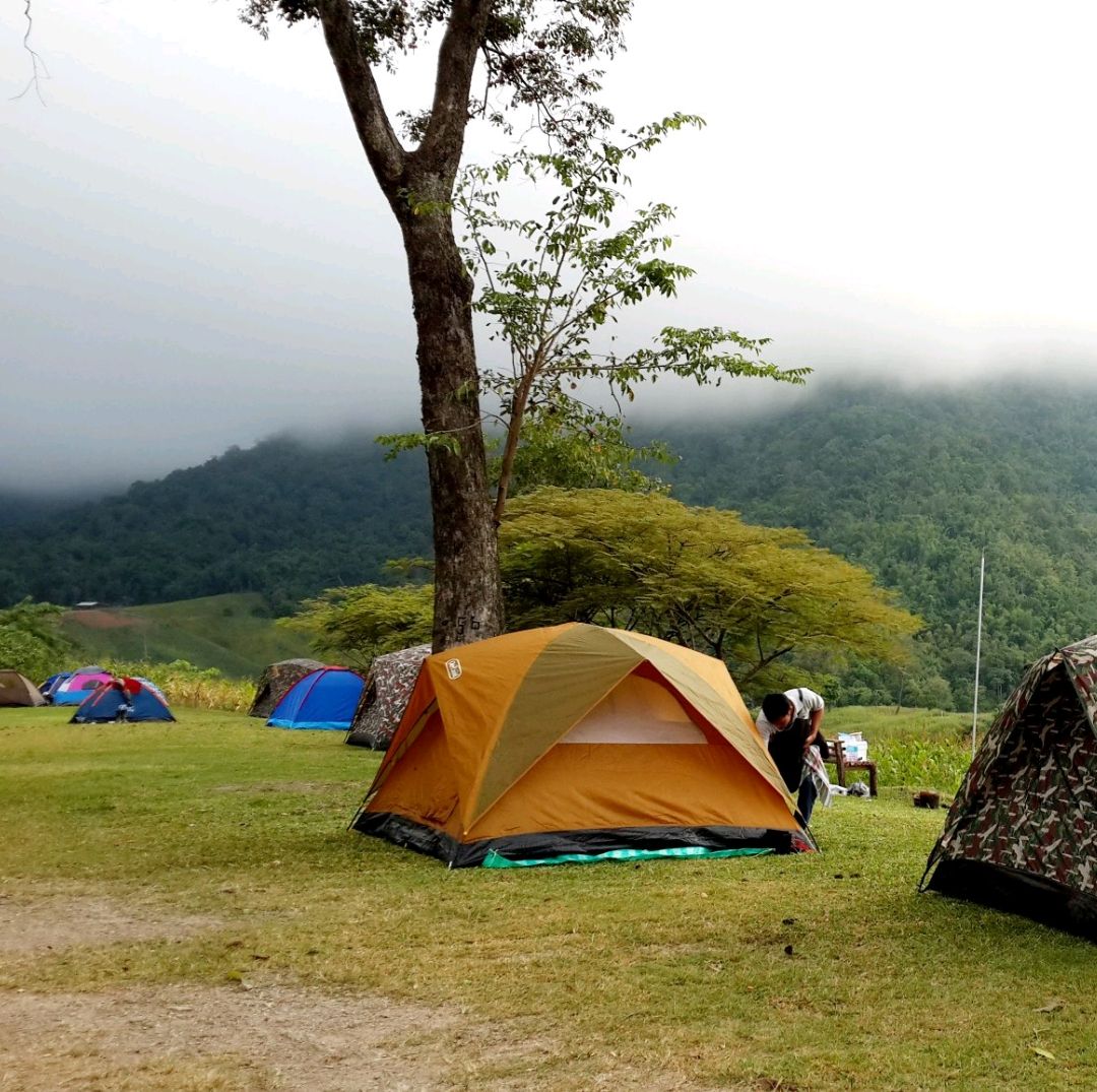 在 Phu Toei 搭帐篷看大自然