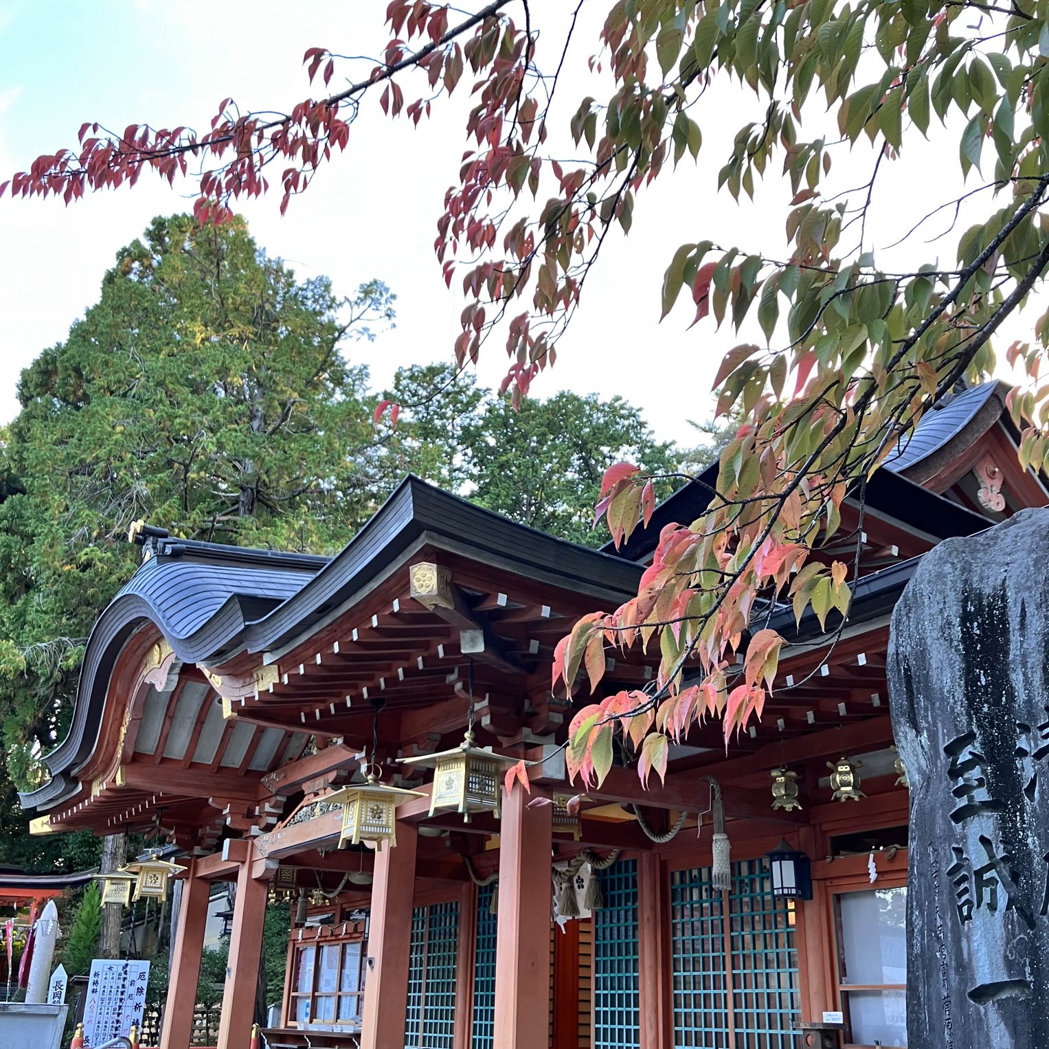 [京都] 天满宫,您可以欣赏四季々的花朵