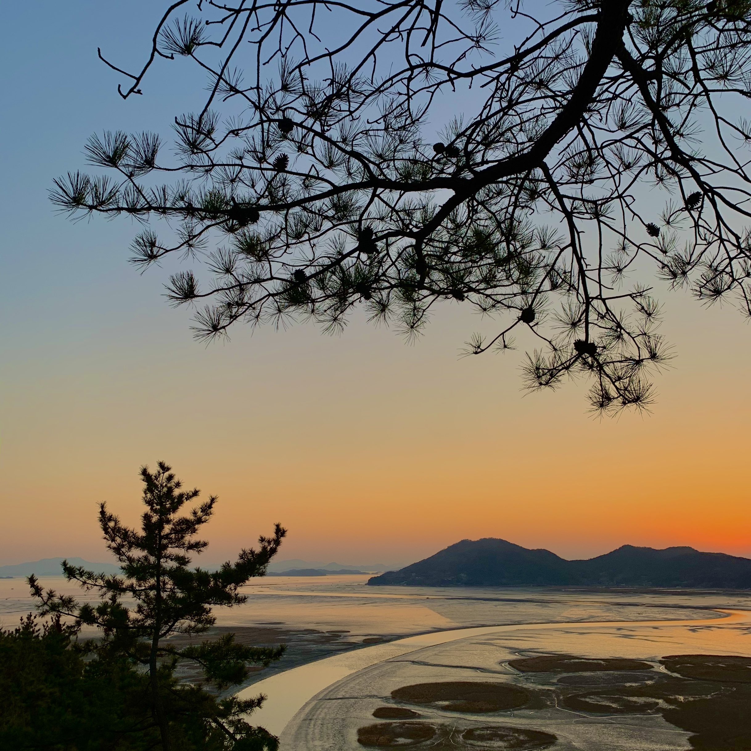 燃烧的天空和无尽的芦田顺天湾湿地🌅