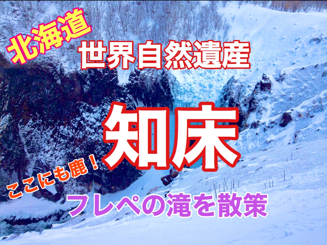 北海道世界自然遗产冬季知床弗雷佩瀑布漫步❗️鹿在这里