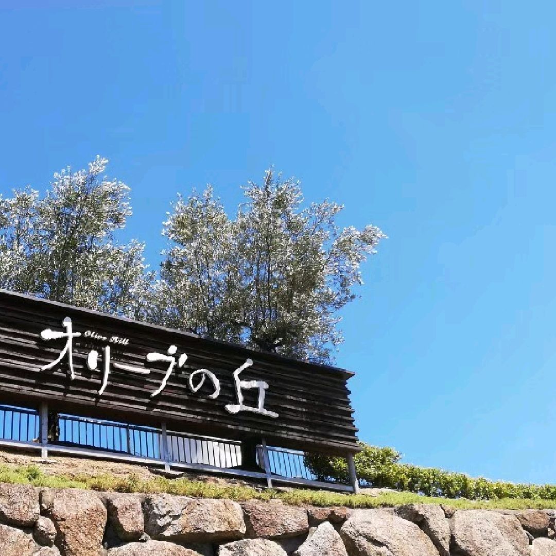 [小豆岛]日本橄榄的发源地✨小豆岛的“橄榄公园”