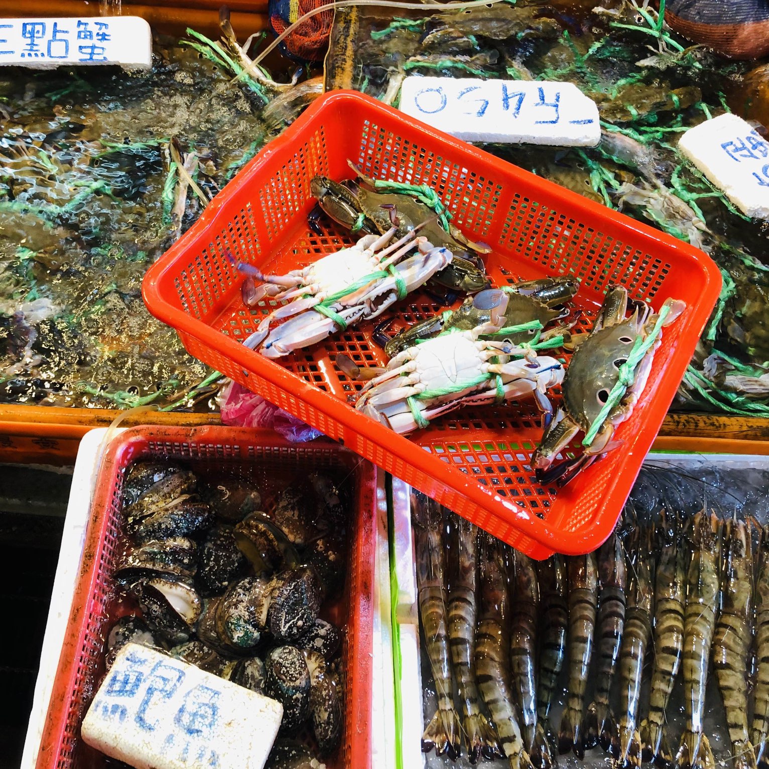🐙🦑采买海鲜@Guihou Fish Market 龟吼渔夫市集🦐🦞🦀