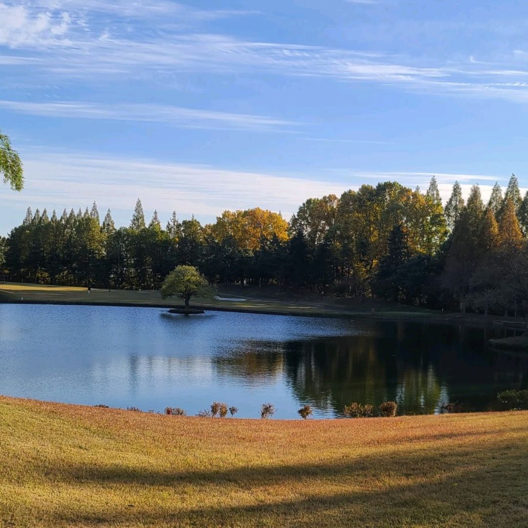 益山cc的秋天风景很美。作为南道智英格搬家后第一次在美丽的高尔夫球场度过了愉快的时光