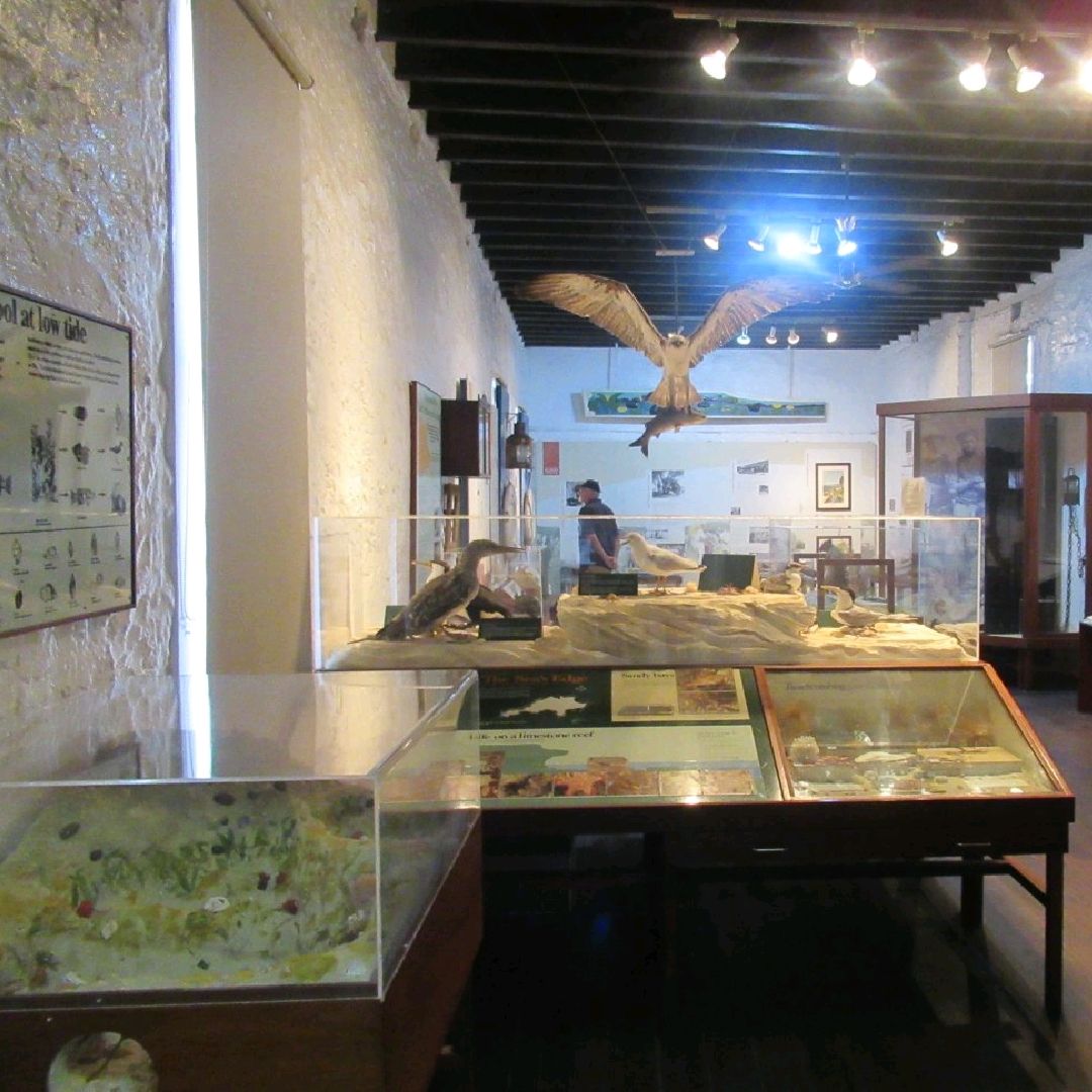 罗特尼斯岛博物馆