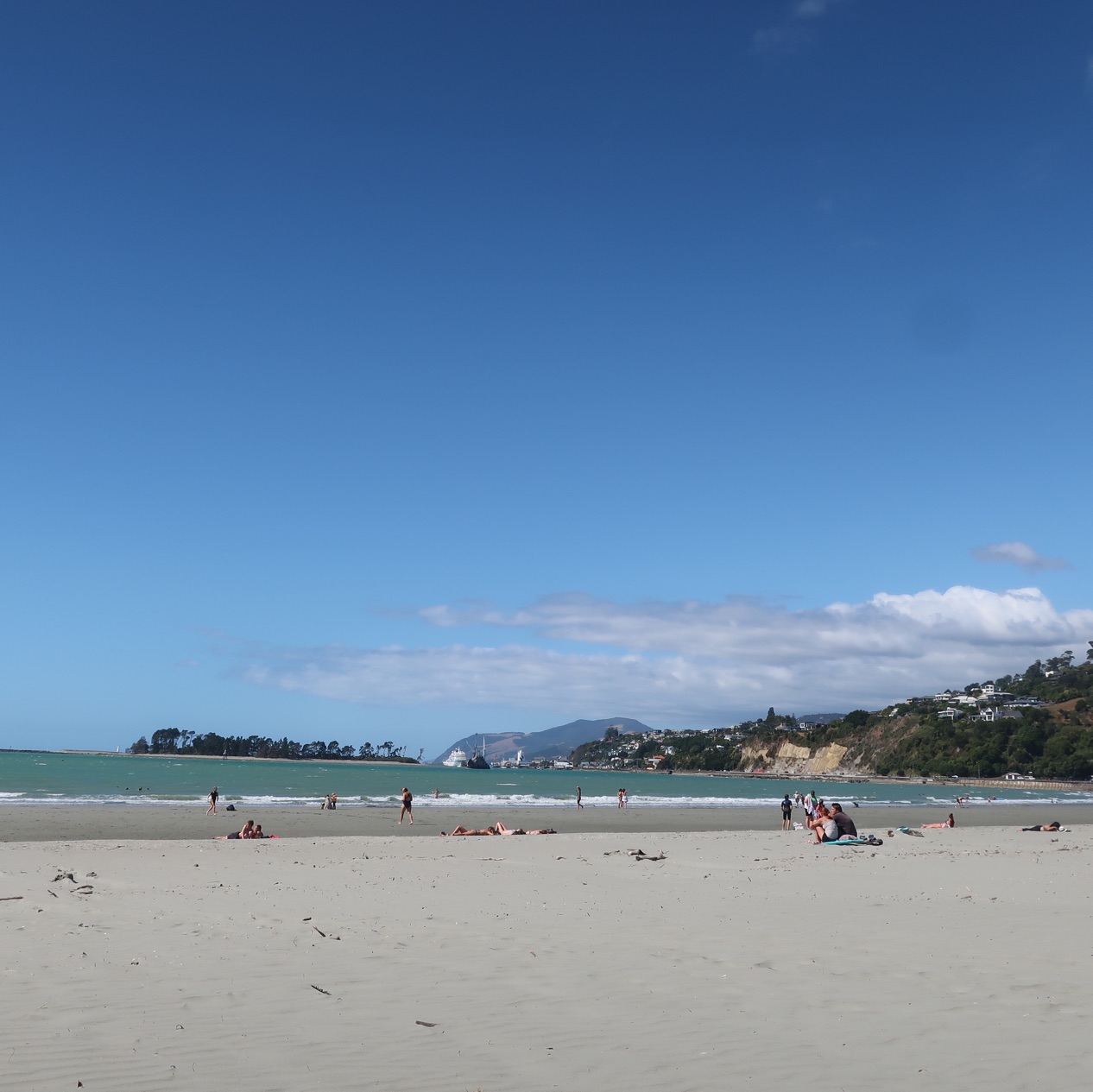 新西兰南岛🇳🇿如果您正在寻找美丽的海滩,请前往塔胡纳努伊海滩!🌊
