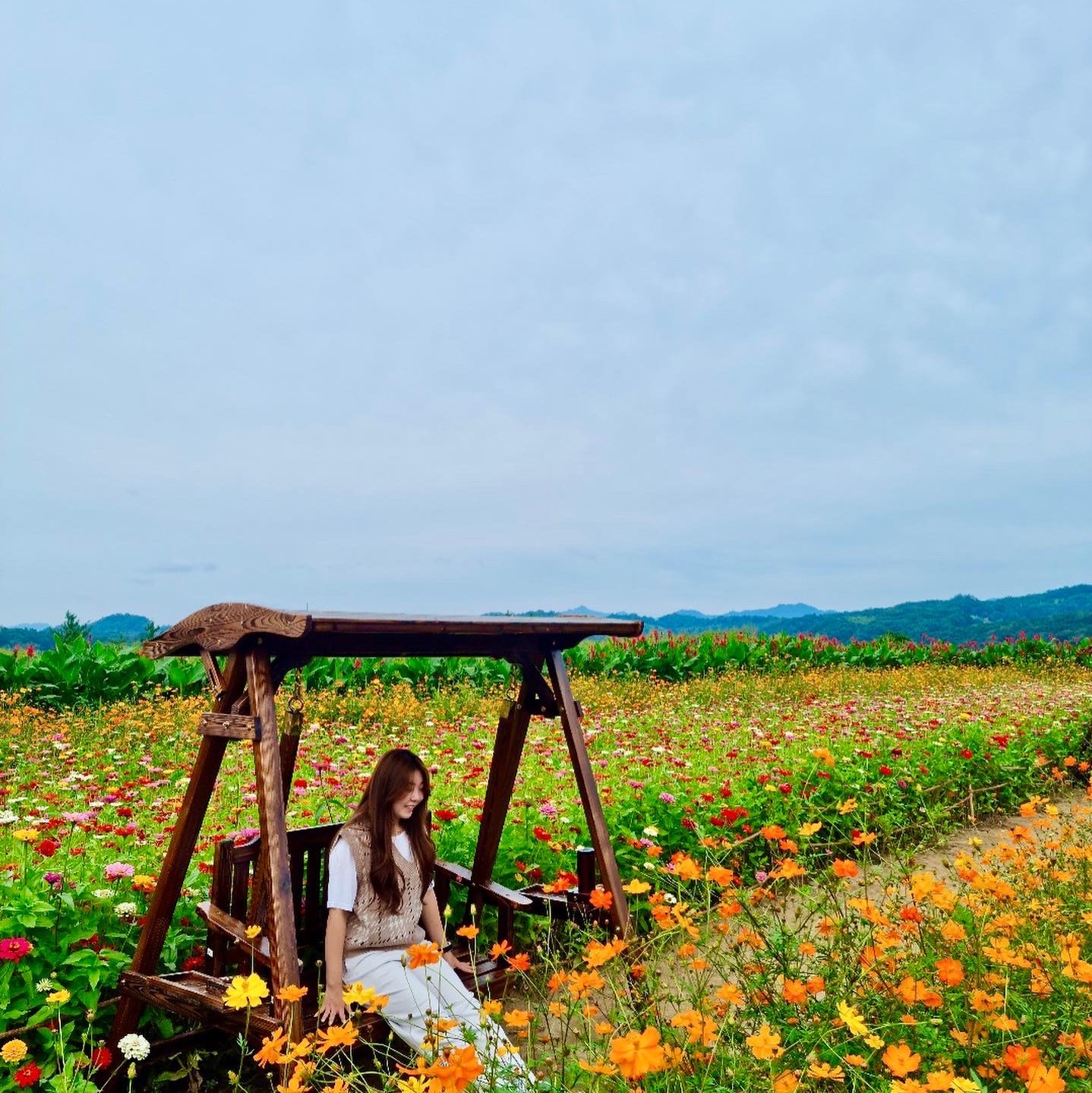 [延川]花卉景点🌸🌼🌺“临津江沙里公园”