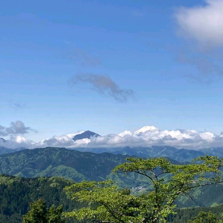 高尾山 春之朝