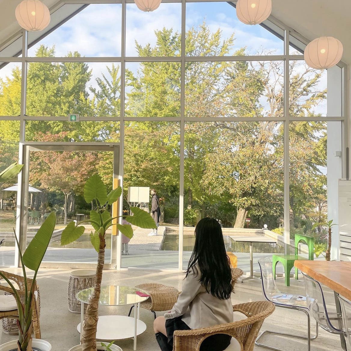 阳山咖啡厅,通窗秋色