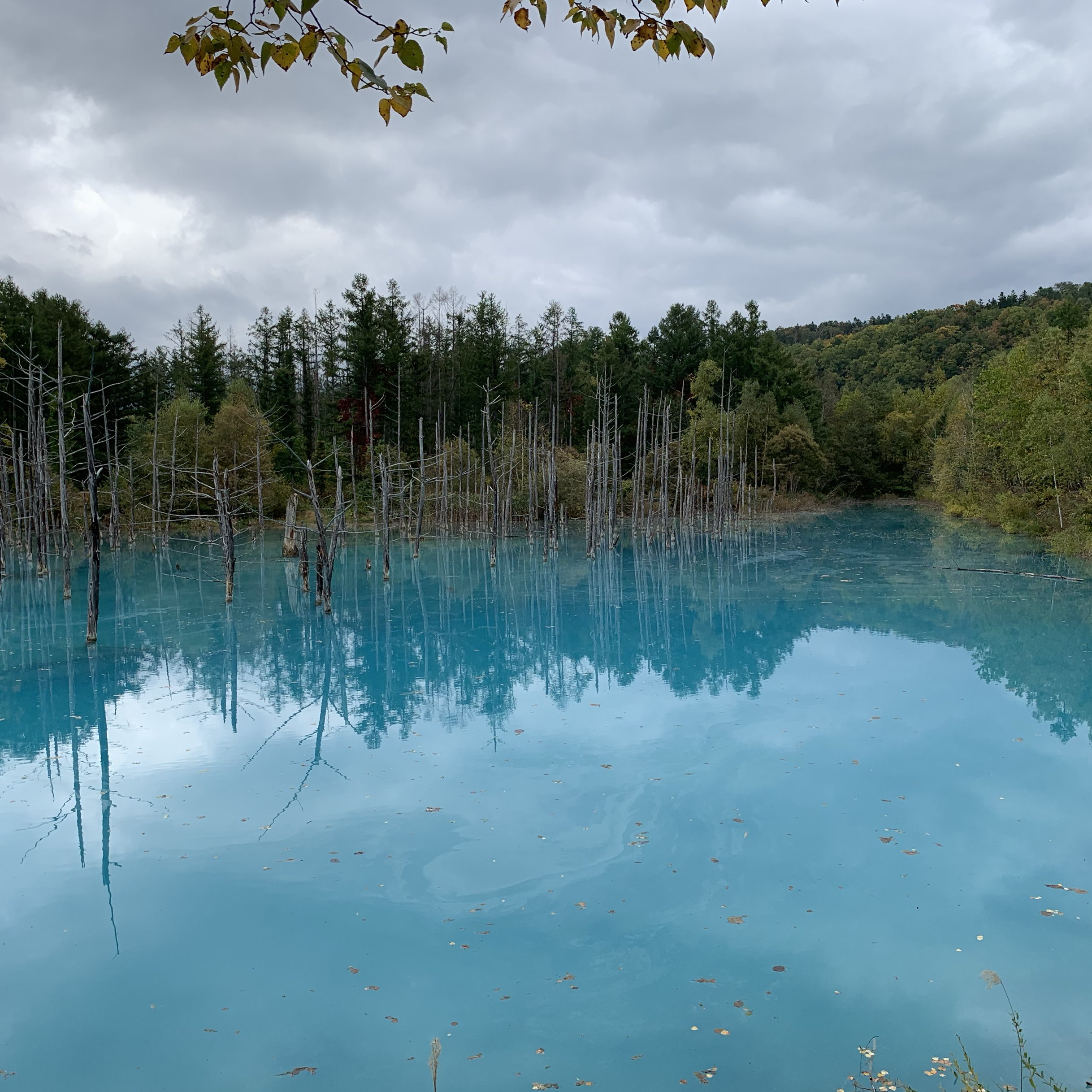 真的蓝色😙我想改变季节去很多次的蓝色池塘