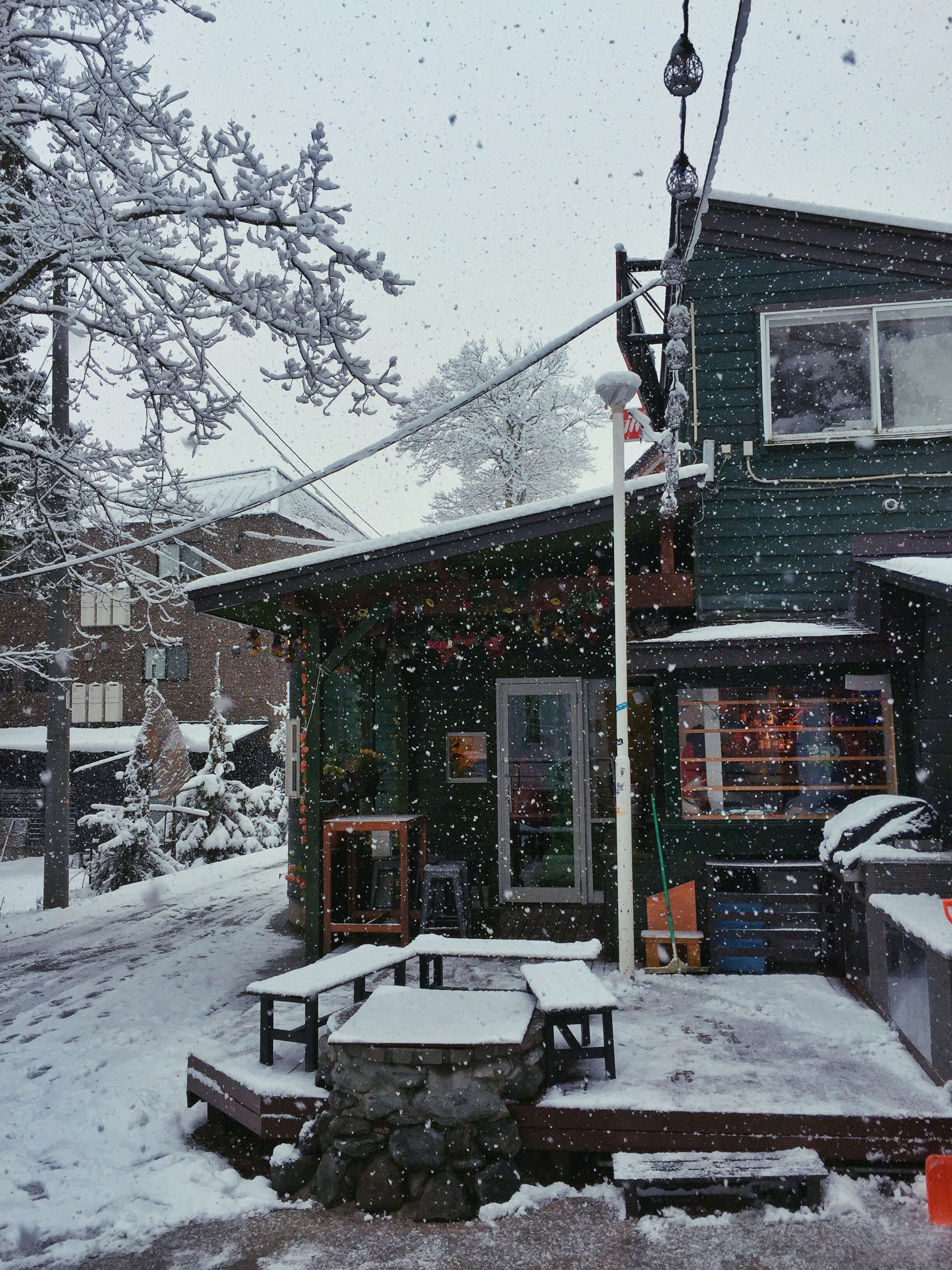 白叶的冬天❄️