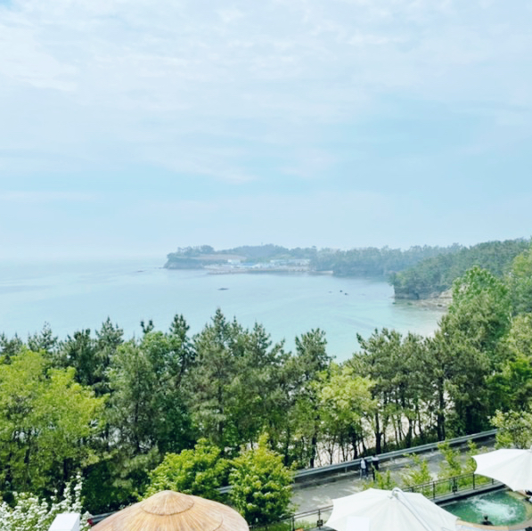 Byeonsan Daemyeong Resort Review #Byeonsan Travel #Daemyeong Resort #Chae Seok River #Daisy