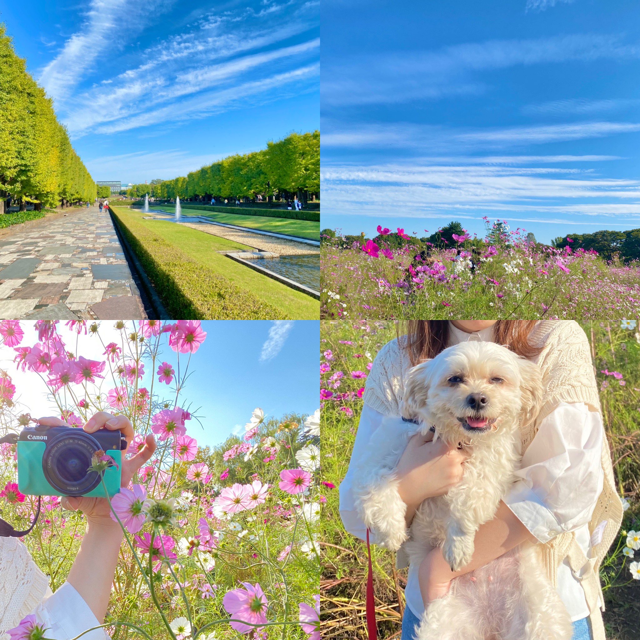 【立川 昭和纪念公园】春夏秋冬随时都可以享受的大型公园!