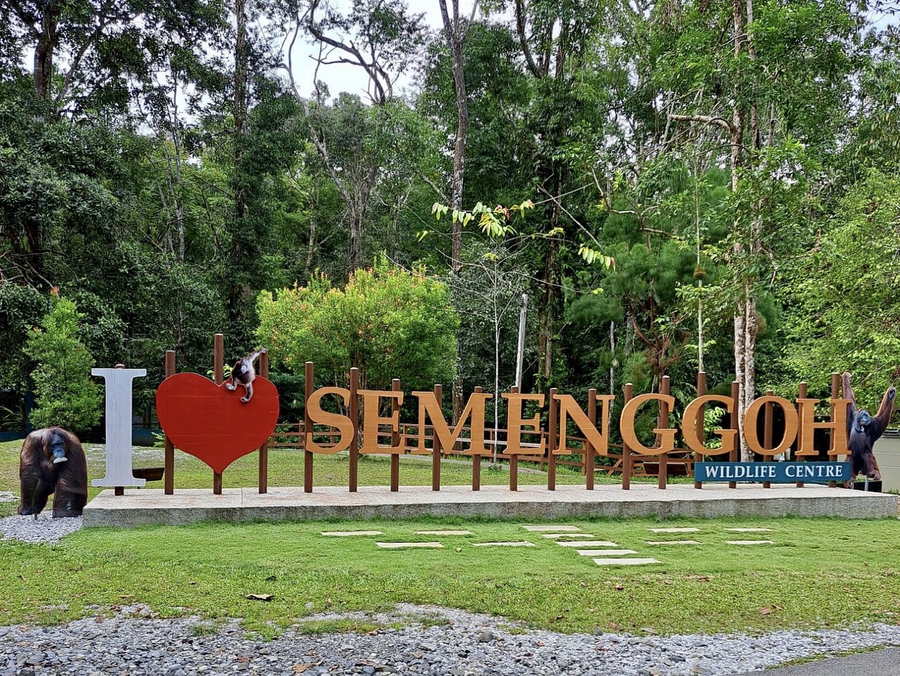 Semenggoh自然保护区 - 古晋, 马来西亚