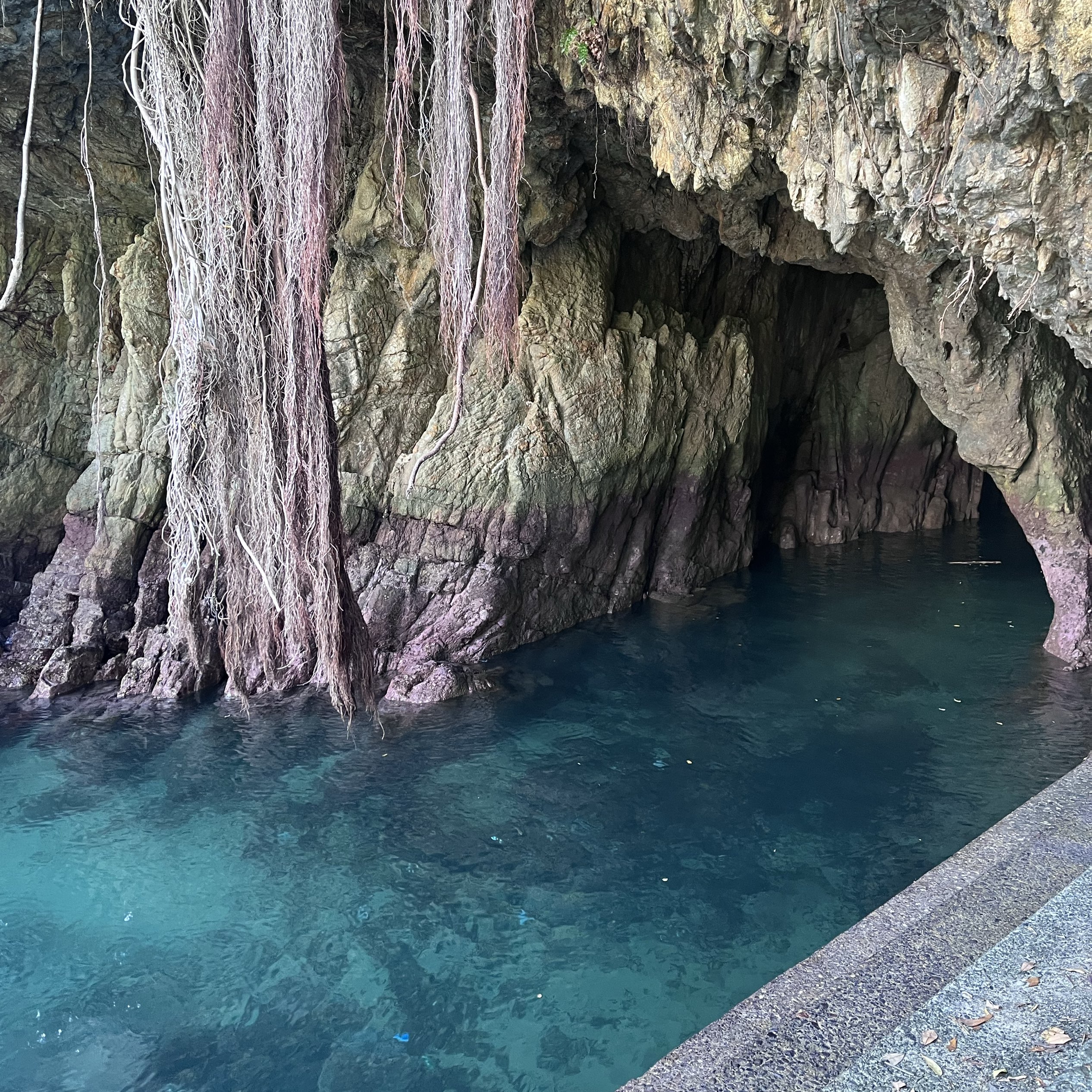 [高知]足折岬嘟嘟车之旅🛺