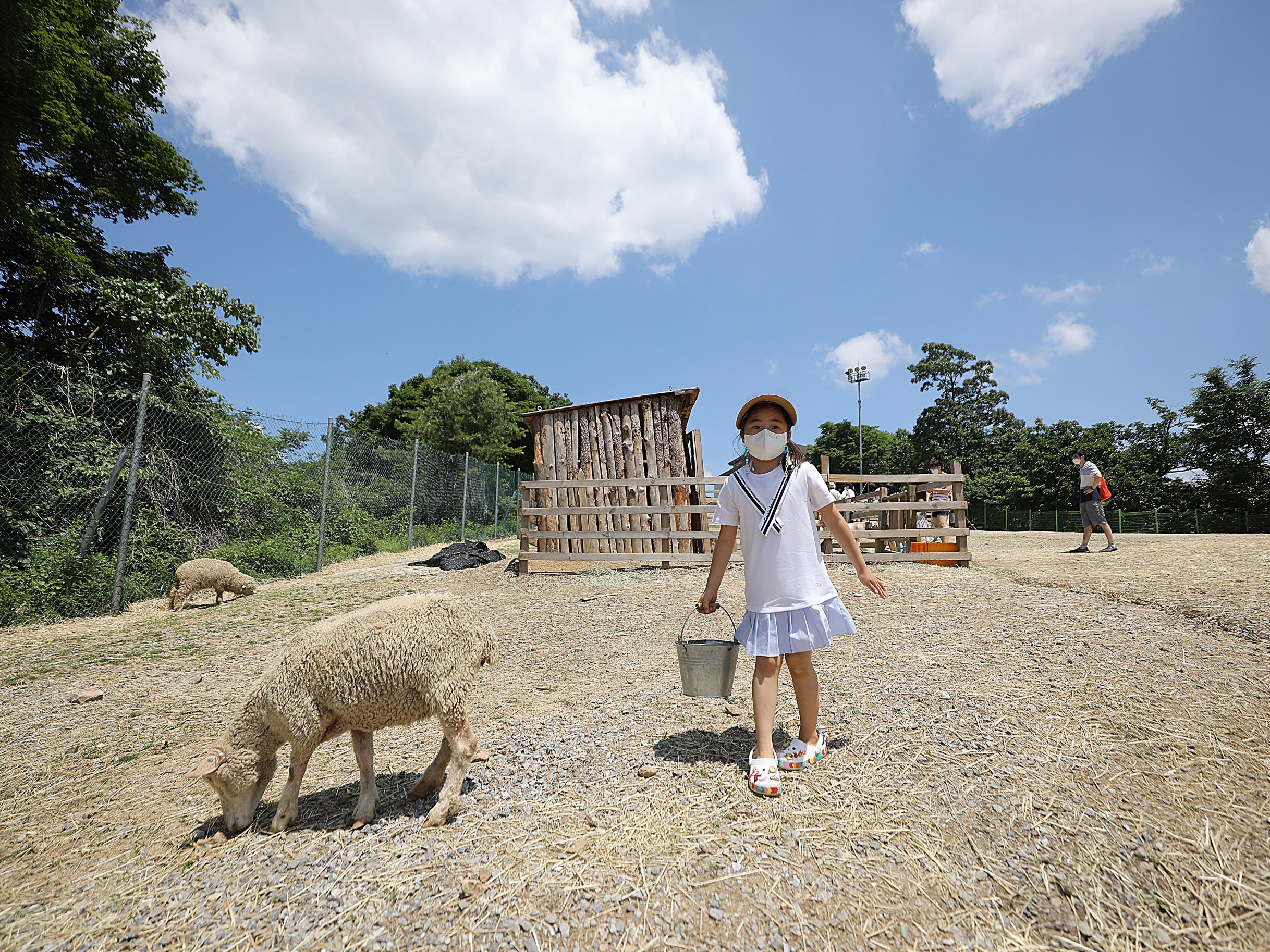 红川维瓦尔迪公园有天羊牧场