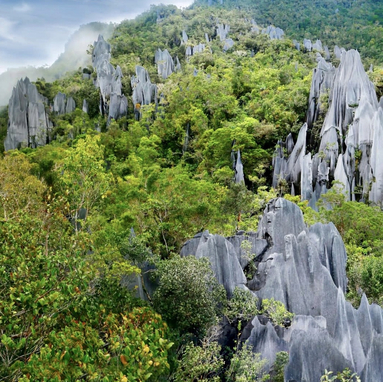 Gunung Mulu 国家公园 - 婆罗洲,马来西亚