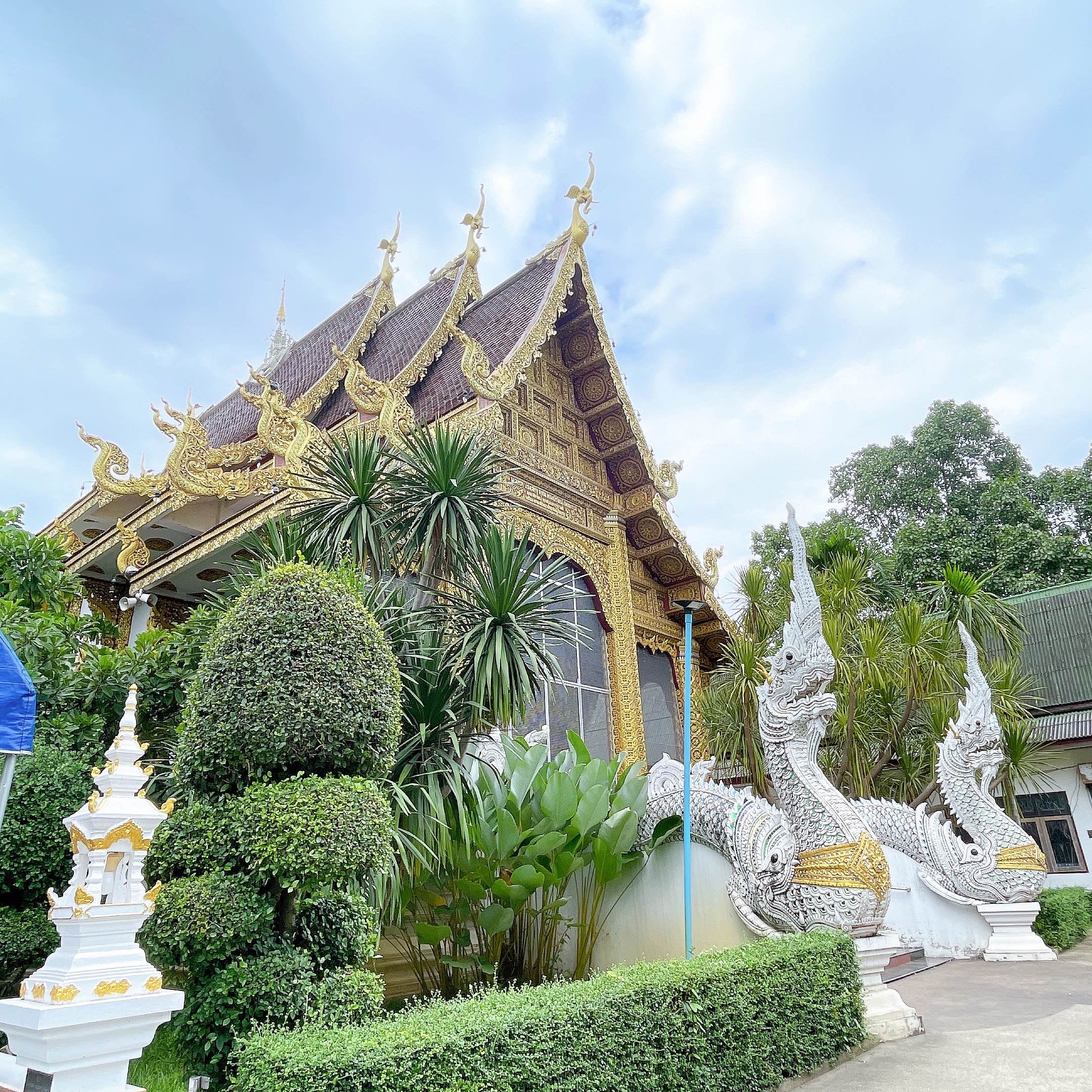Wat Pa Daet Sai Mu,千万不要错过