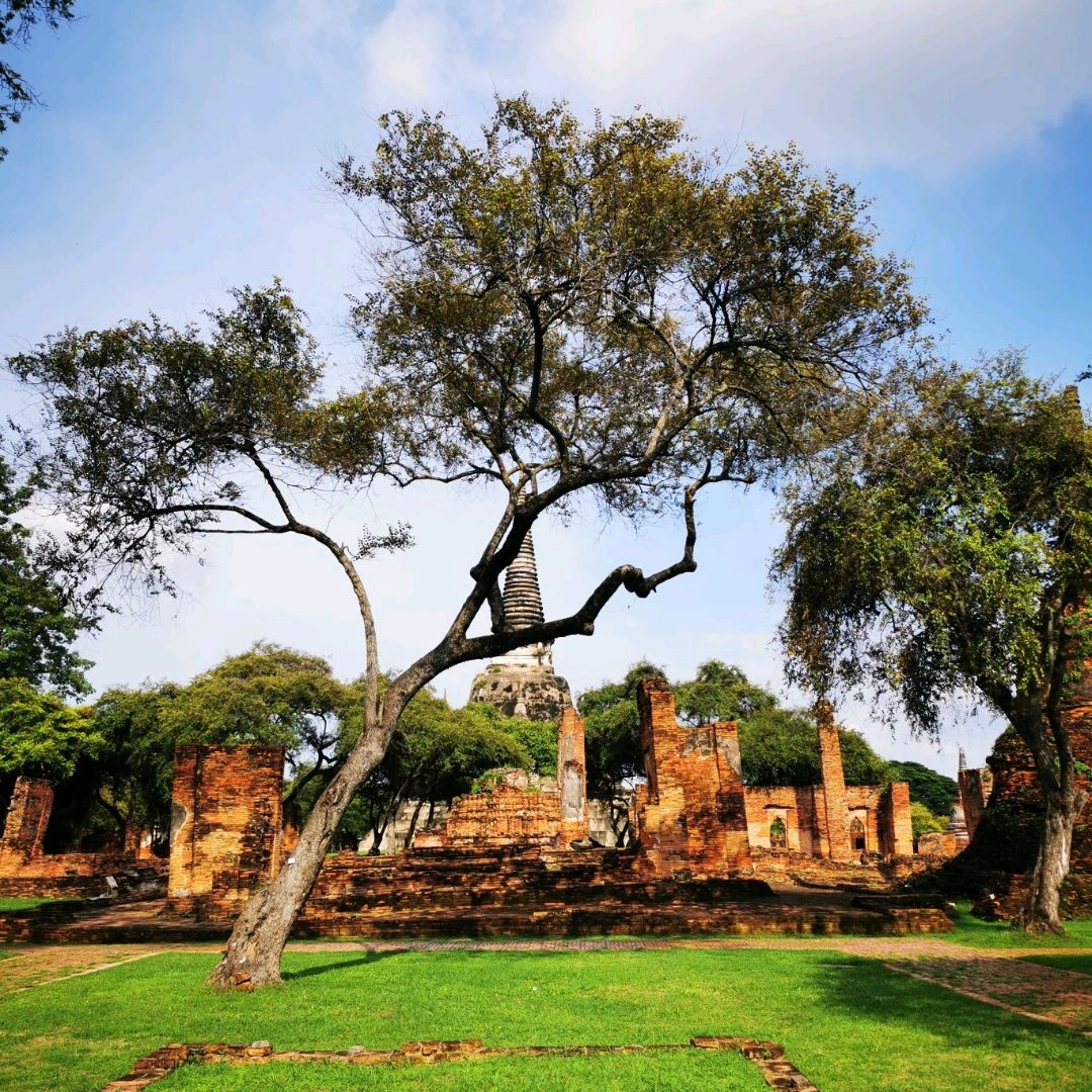 Wat Phra Si Sanphet 拥有生历史