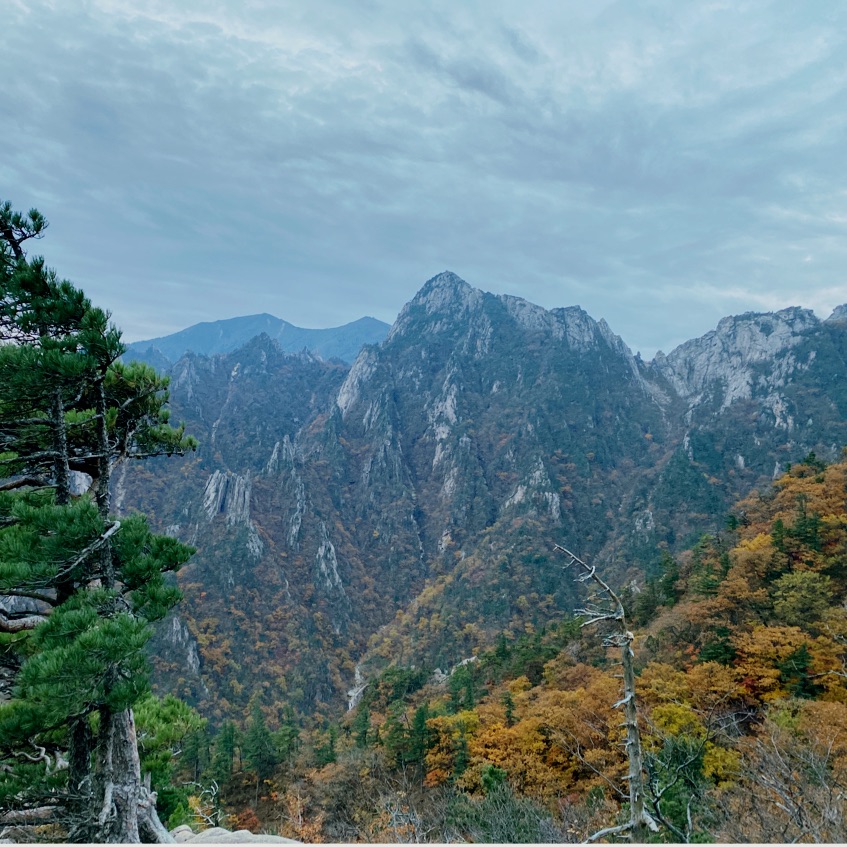 恐龙山脊