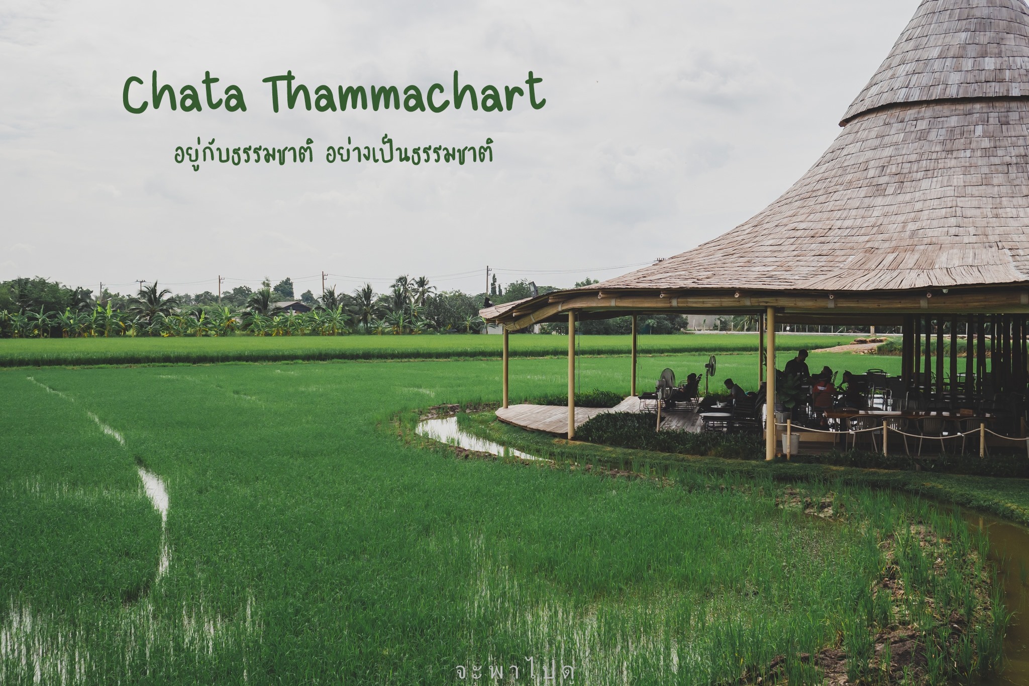 Chata Thammachart,佛统府