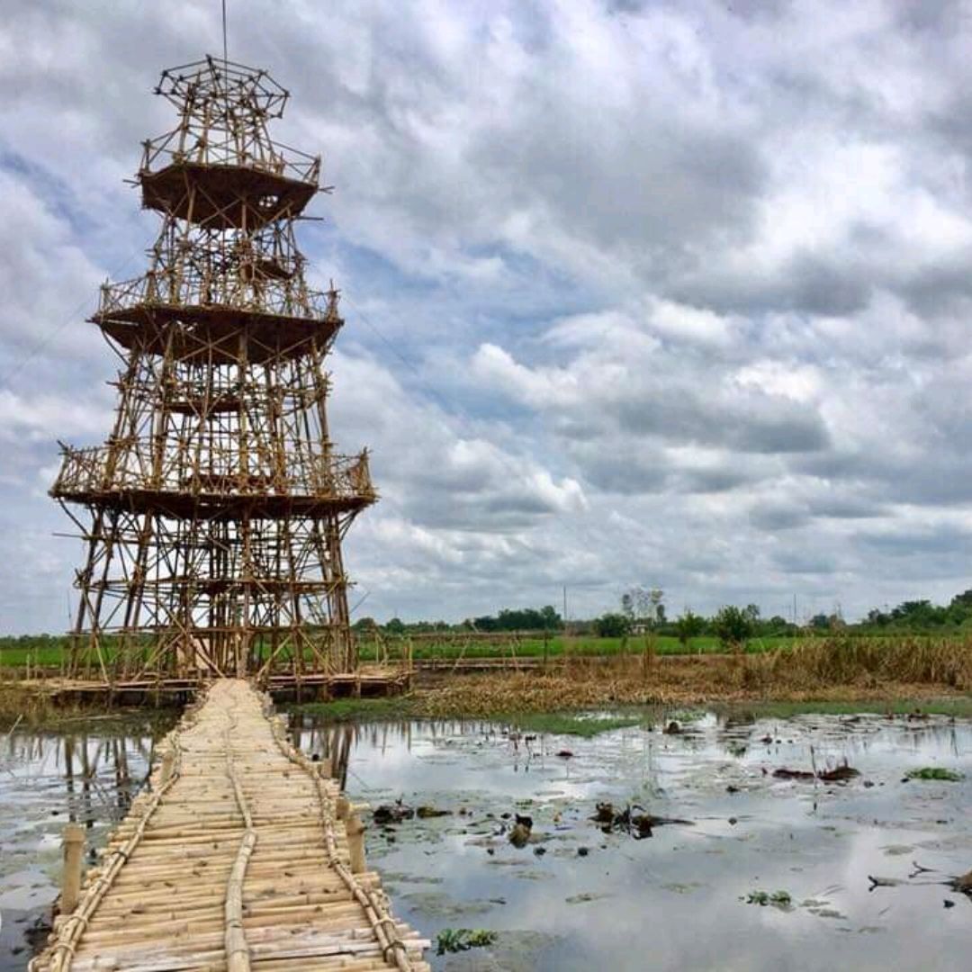 全景稻田观景台🗼   它是一座用竹子🎋🎋 建造的塔。它具有超过 20 米的八角形,在池塘中间使用不竹