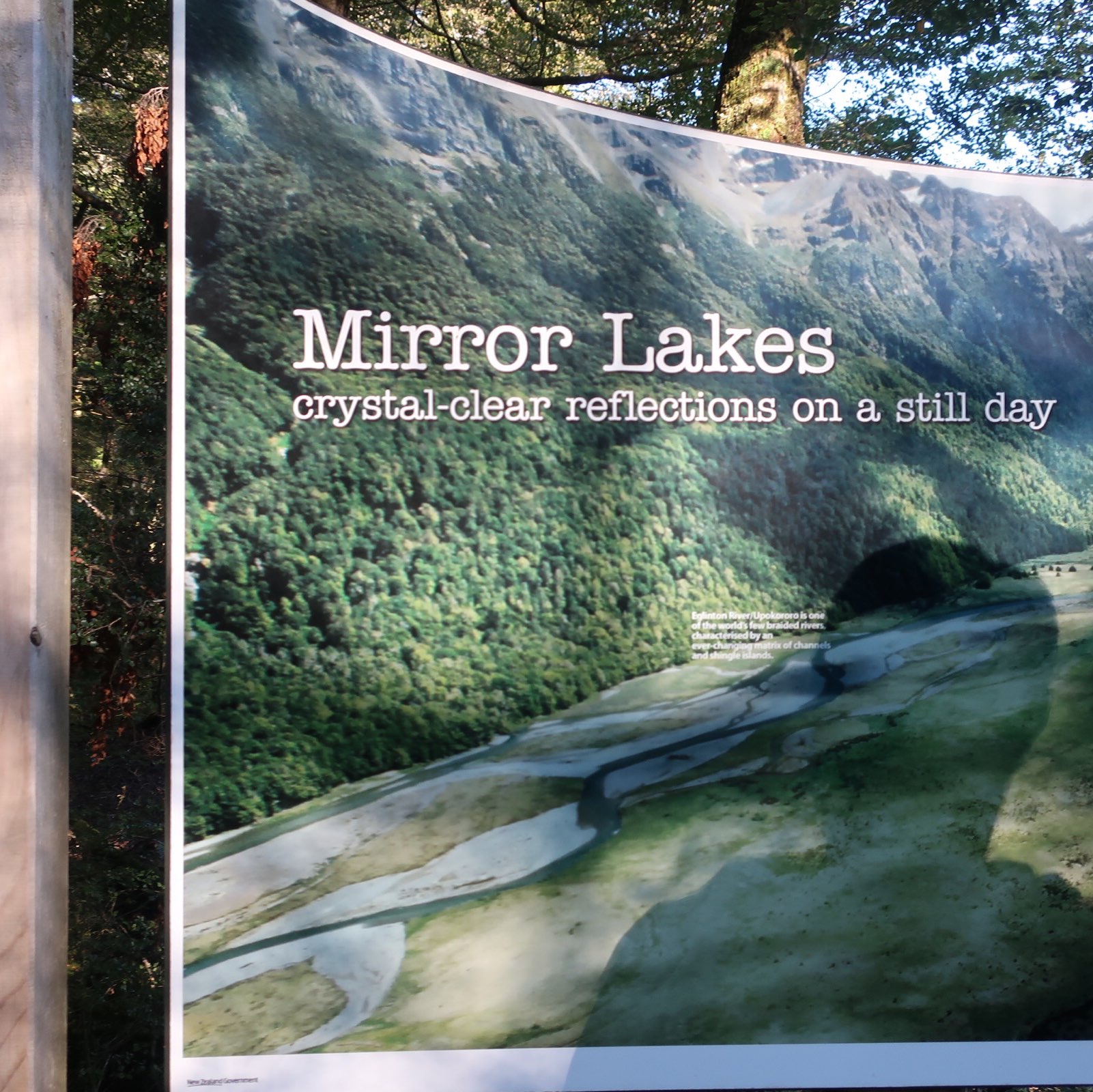 新西兰菲奥德兰国家公园的镜湖✨🇳🇿