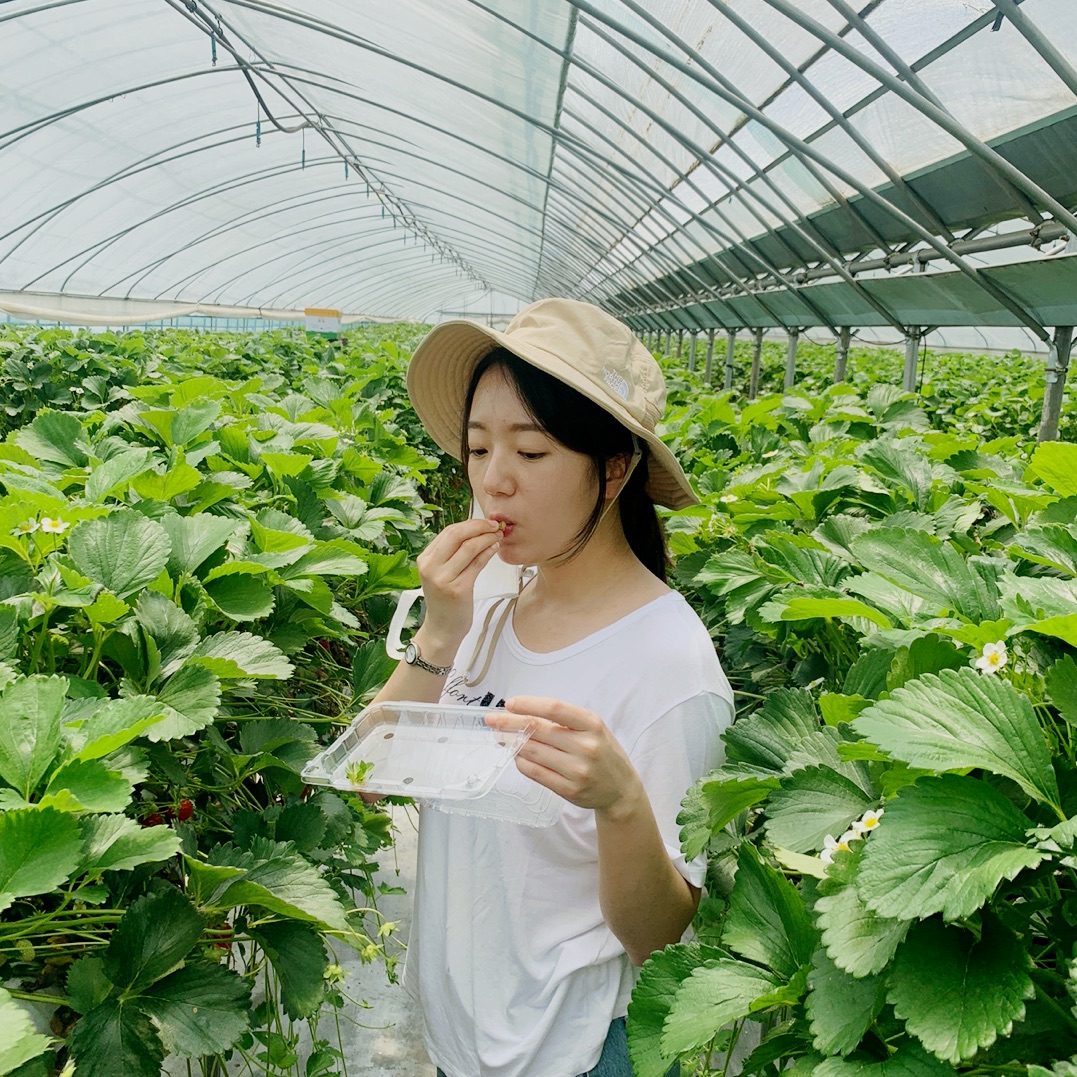 大自然给人的味道,适合和孩子们一起去的羊毛草莓体验农场🍓