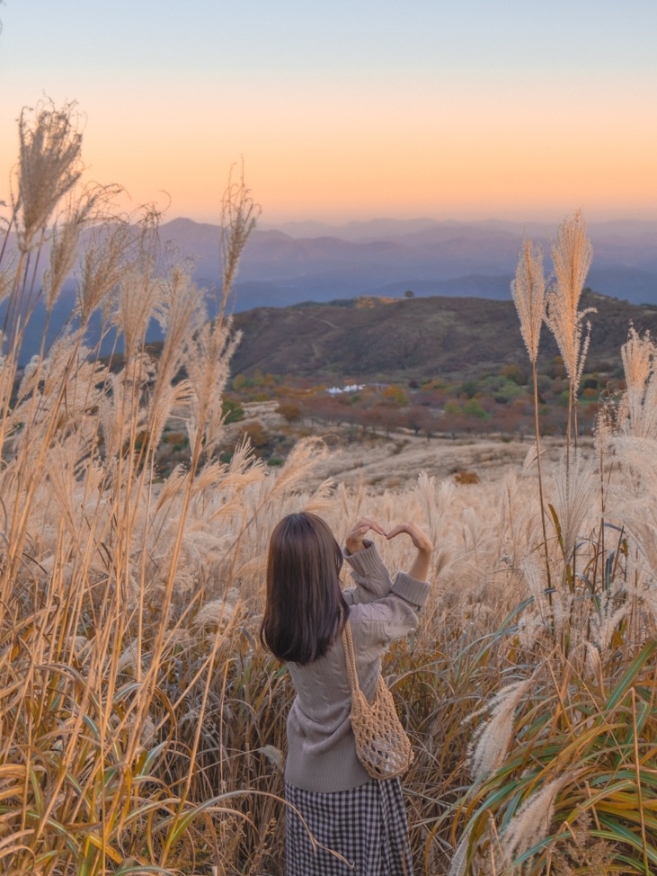 黄梅山🐑  如果您在日落时分去,您会看到美丽的风景。🫶🏻  我想我下午4点左右去拍摄了。✨  📌拍摄