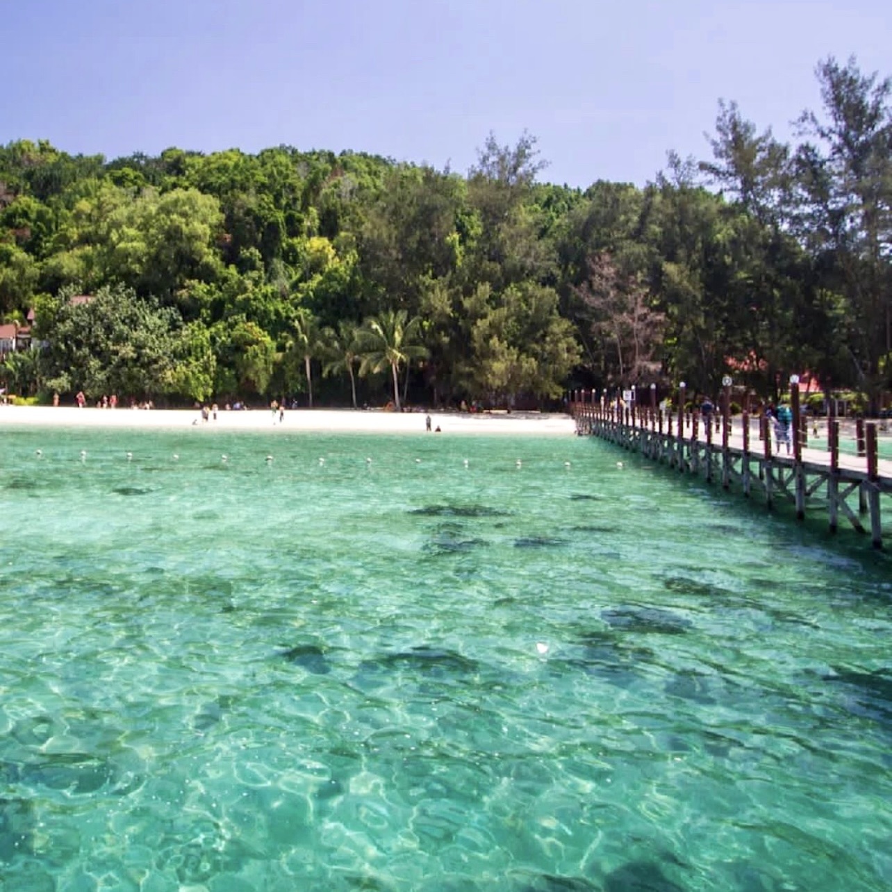 萨皮岛 - 马来西亚