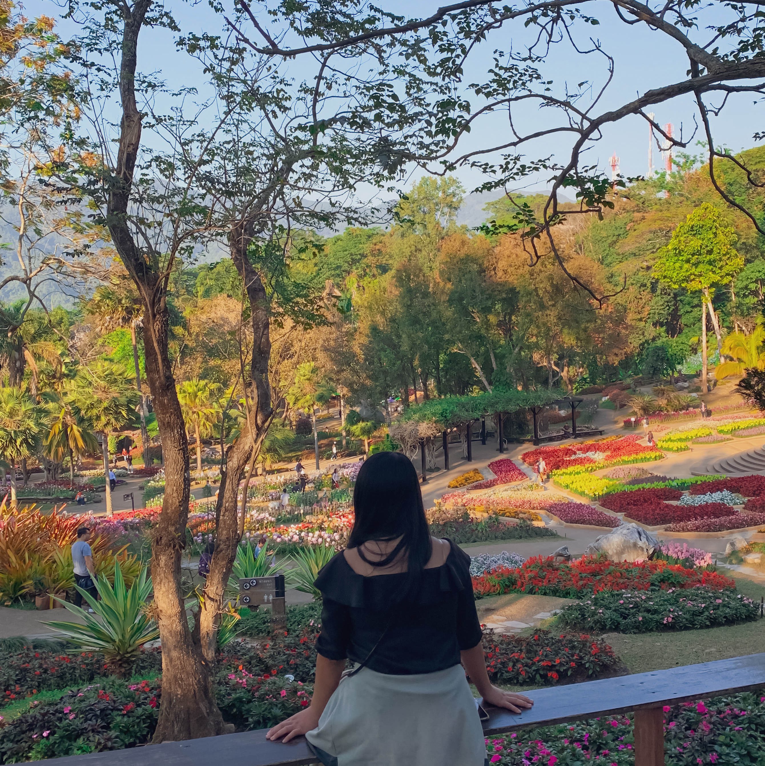 DOI TUNG 里的圣诞🌸