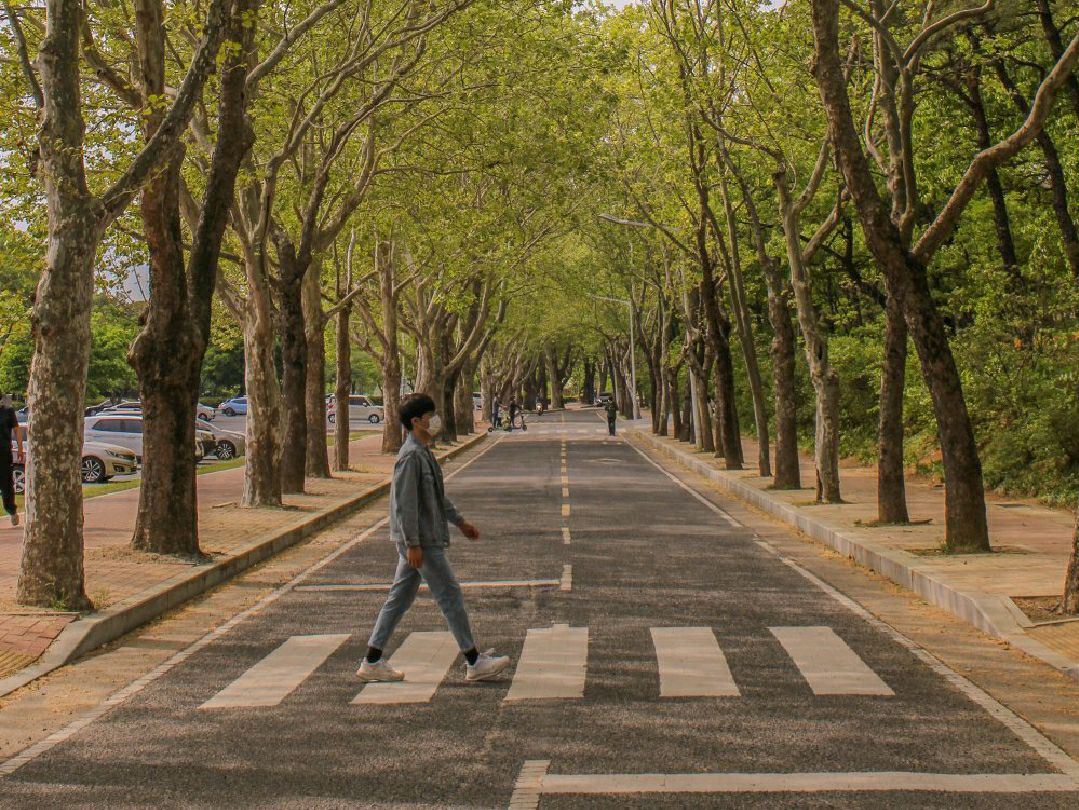 [大邱,庆北大学]