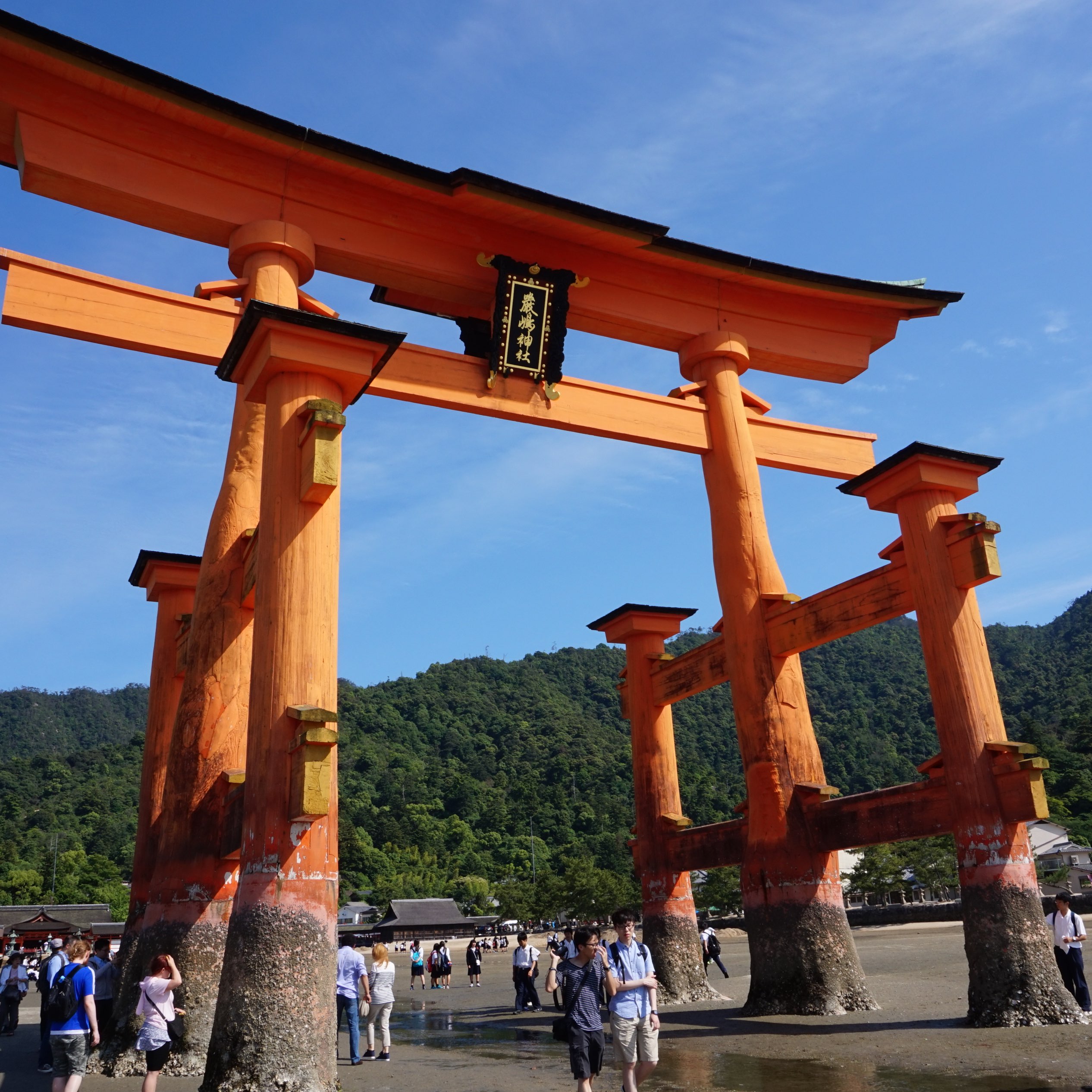 [广岛]宫岛最好的景点⛩严岛神社