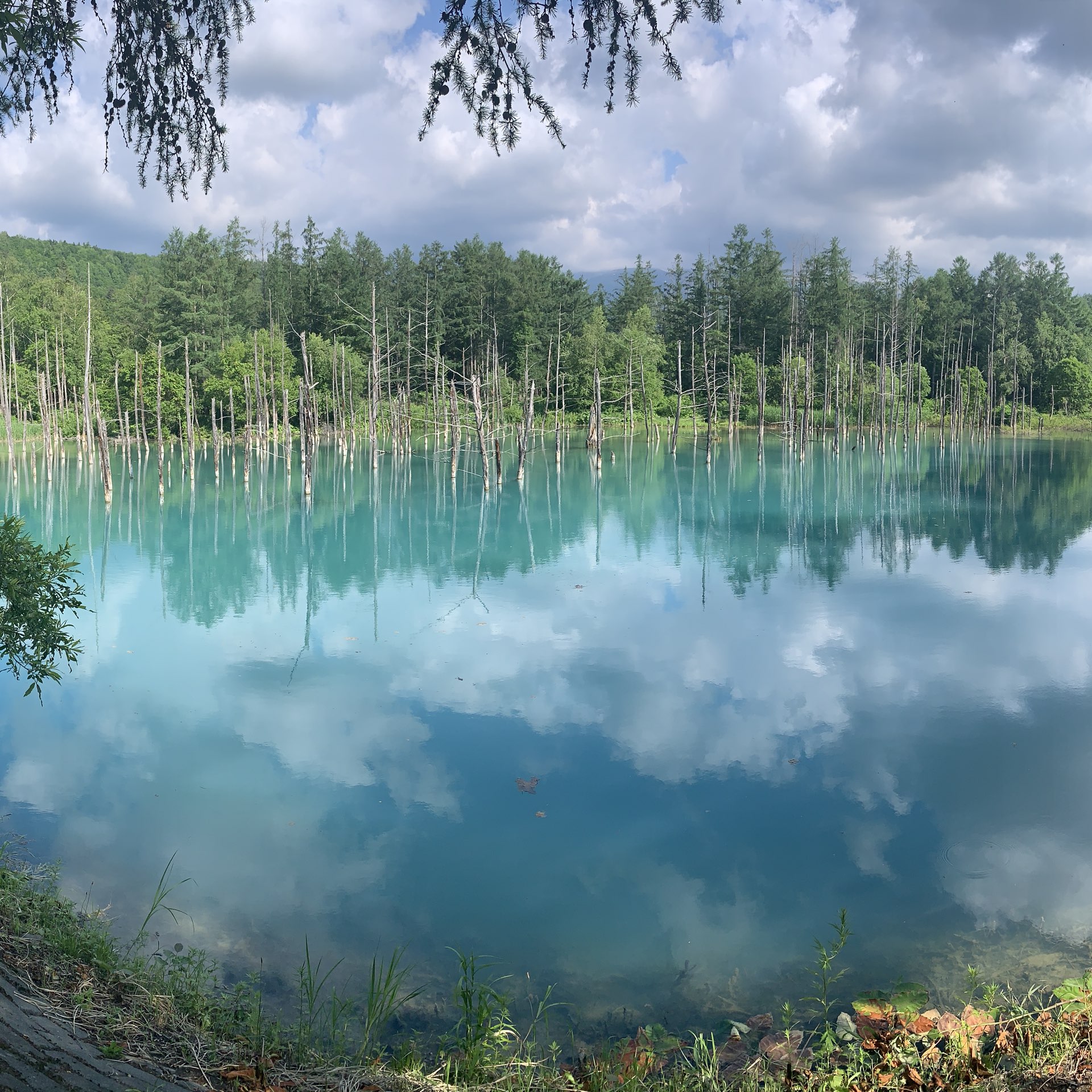 北海道