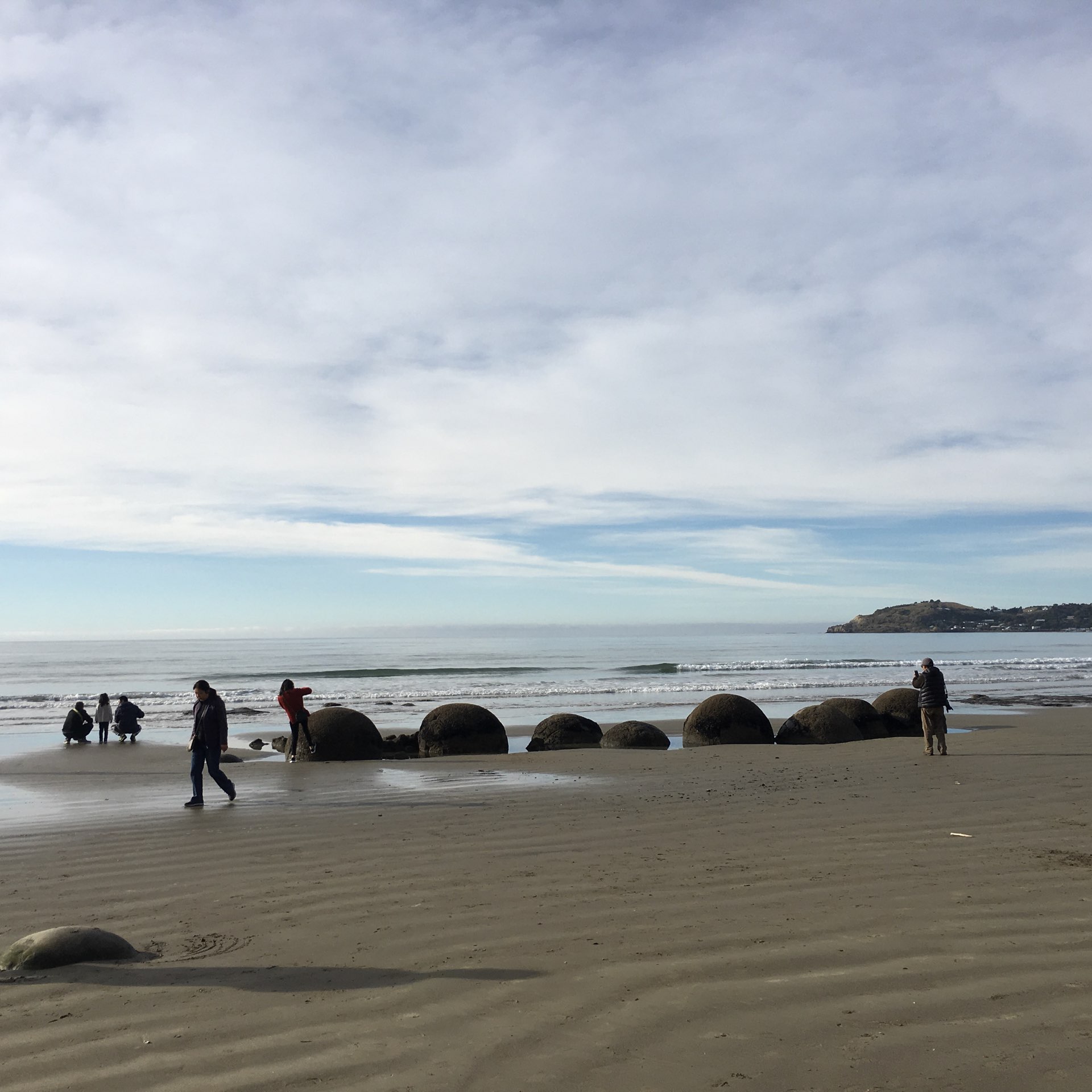 新西兰神秘海滩🌊莫埃拉基博尔德斯海滩🌅