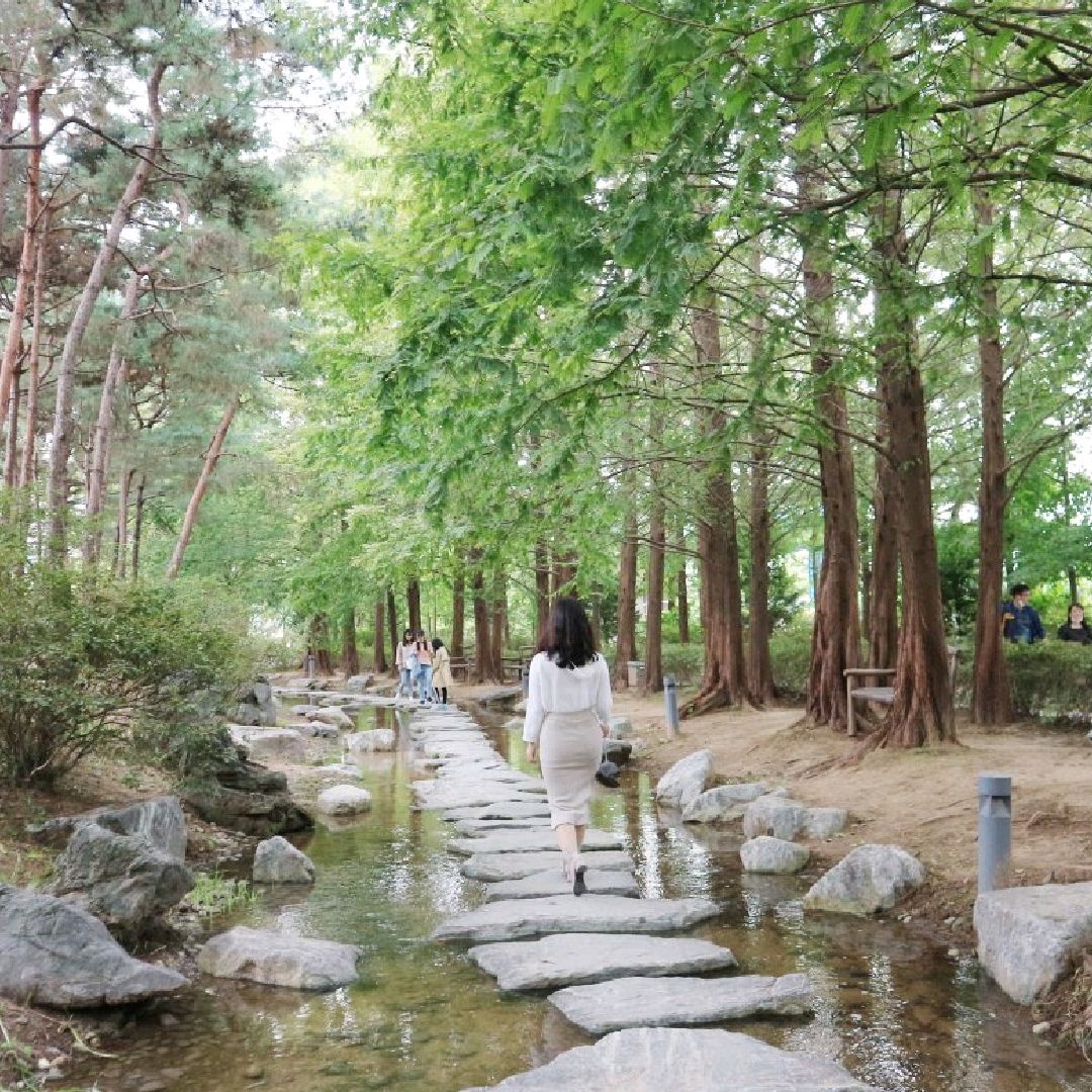 京畿道野餐景点“Semiwon”