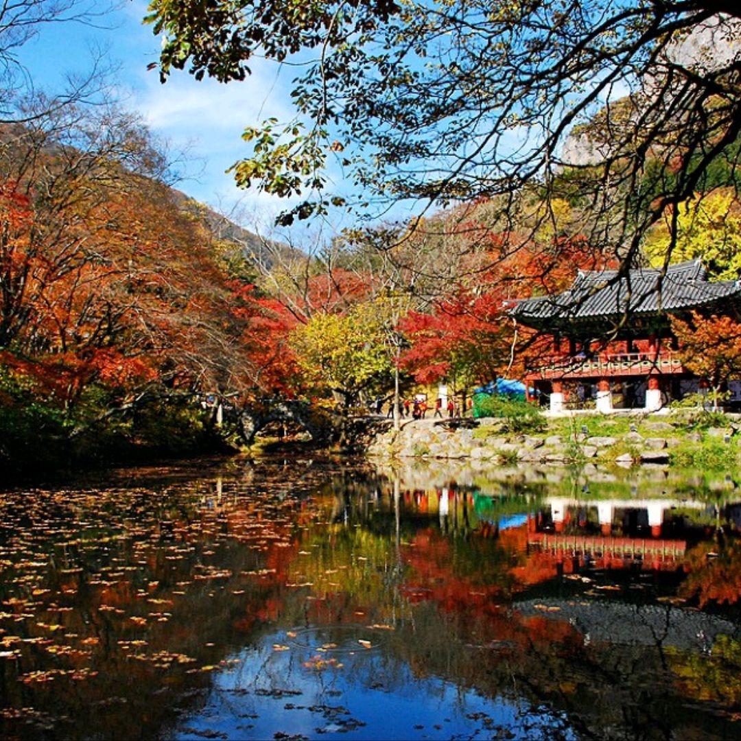 枫树林地长城白羊寺