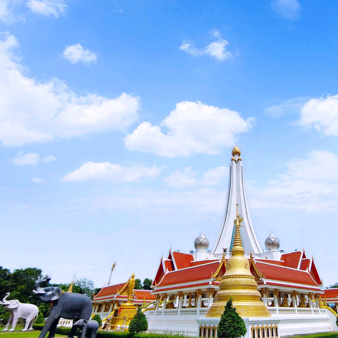 邀请您参观Wat Pathum Tharam (Wat Nong Bua),猜纳府