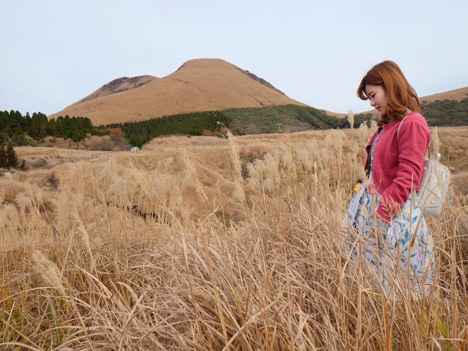 熊本县必去打卡黄澄澄的草原美景📸️📸️📸️